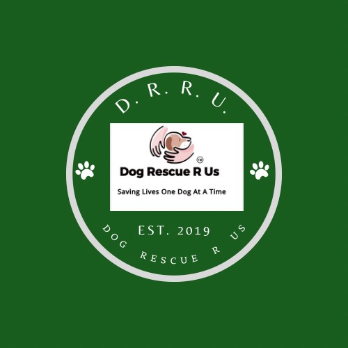 Dog Rescue R Us We save thousands of animals every year