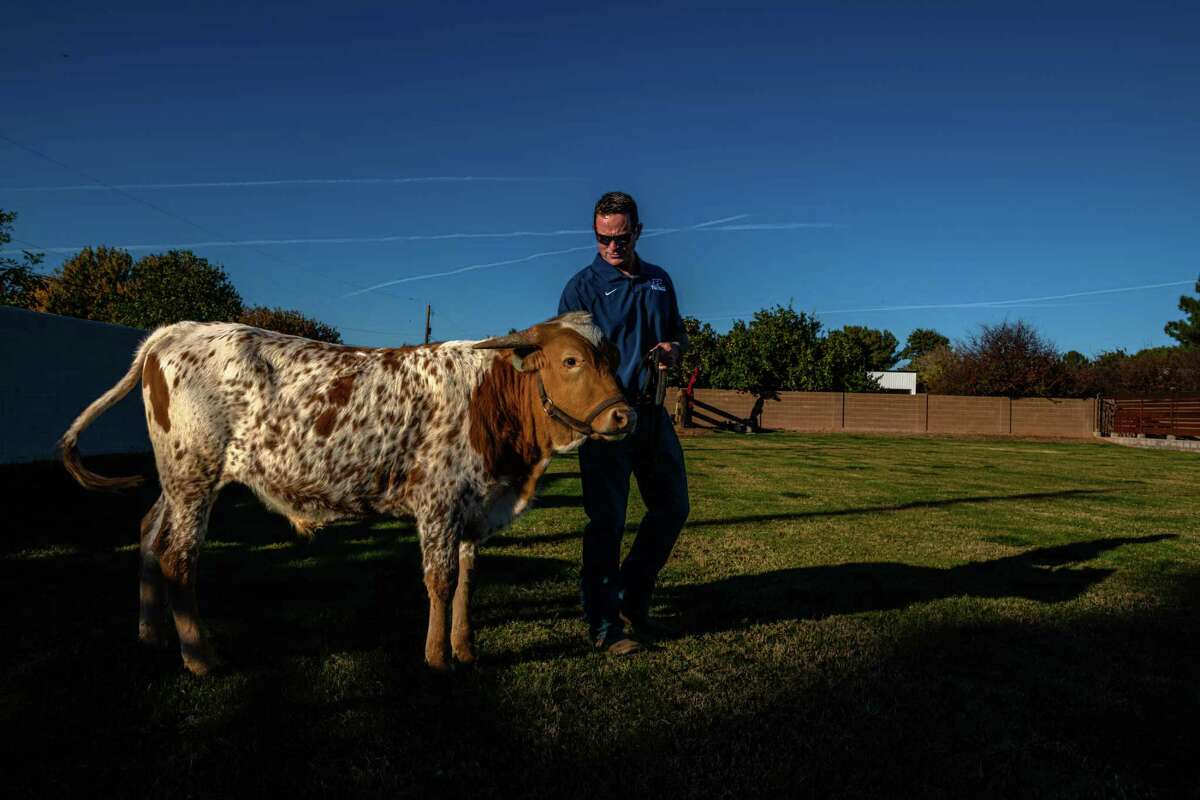 Preston Jones visits Mr. Irrelevant, a steer named in honor of Brock Purdy, in Gilbert, Ariz.
