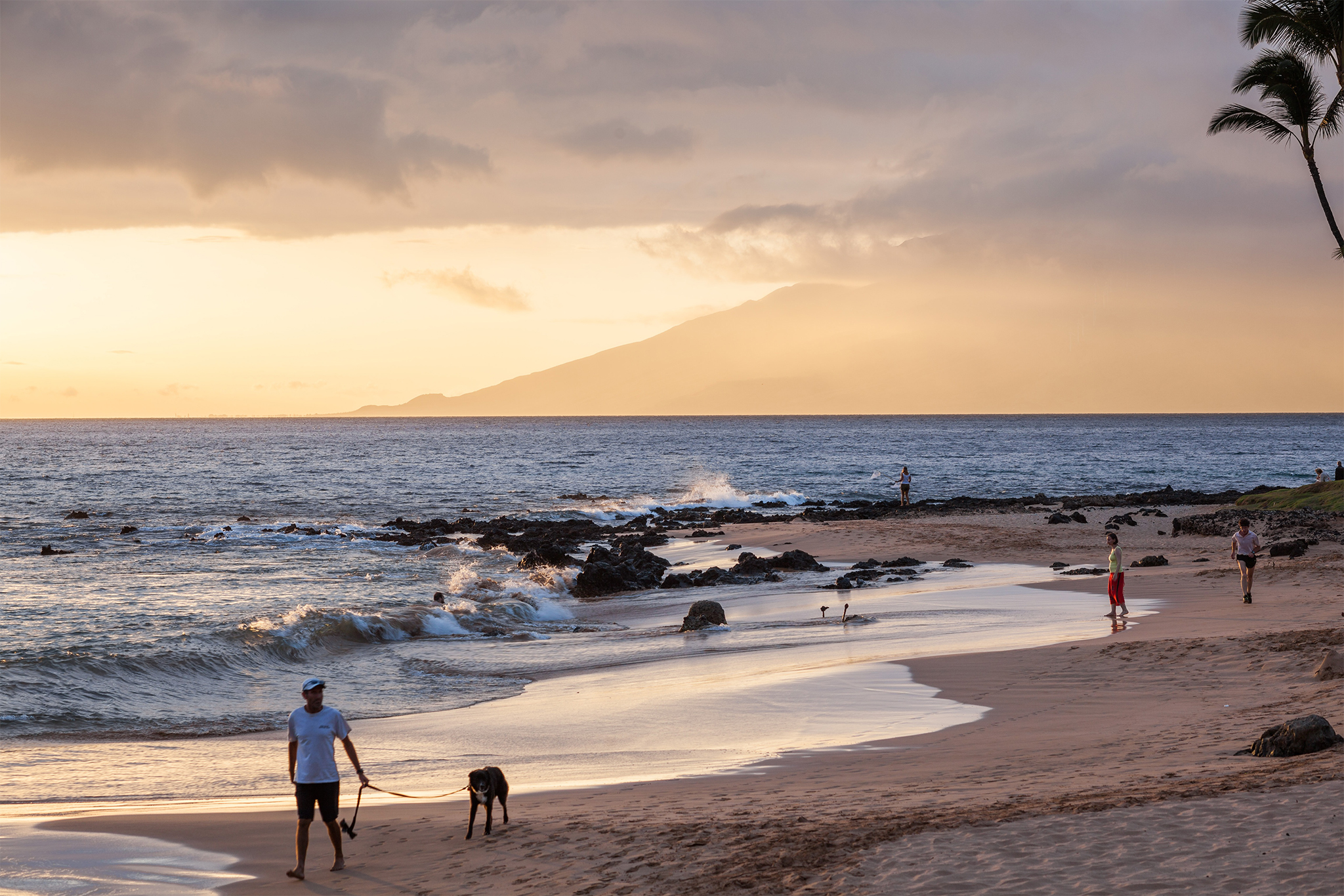 Why Maui has the most shark attacks in Hawaii