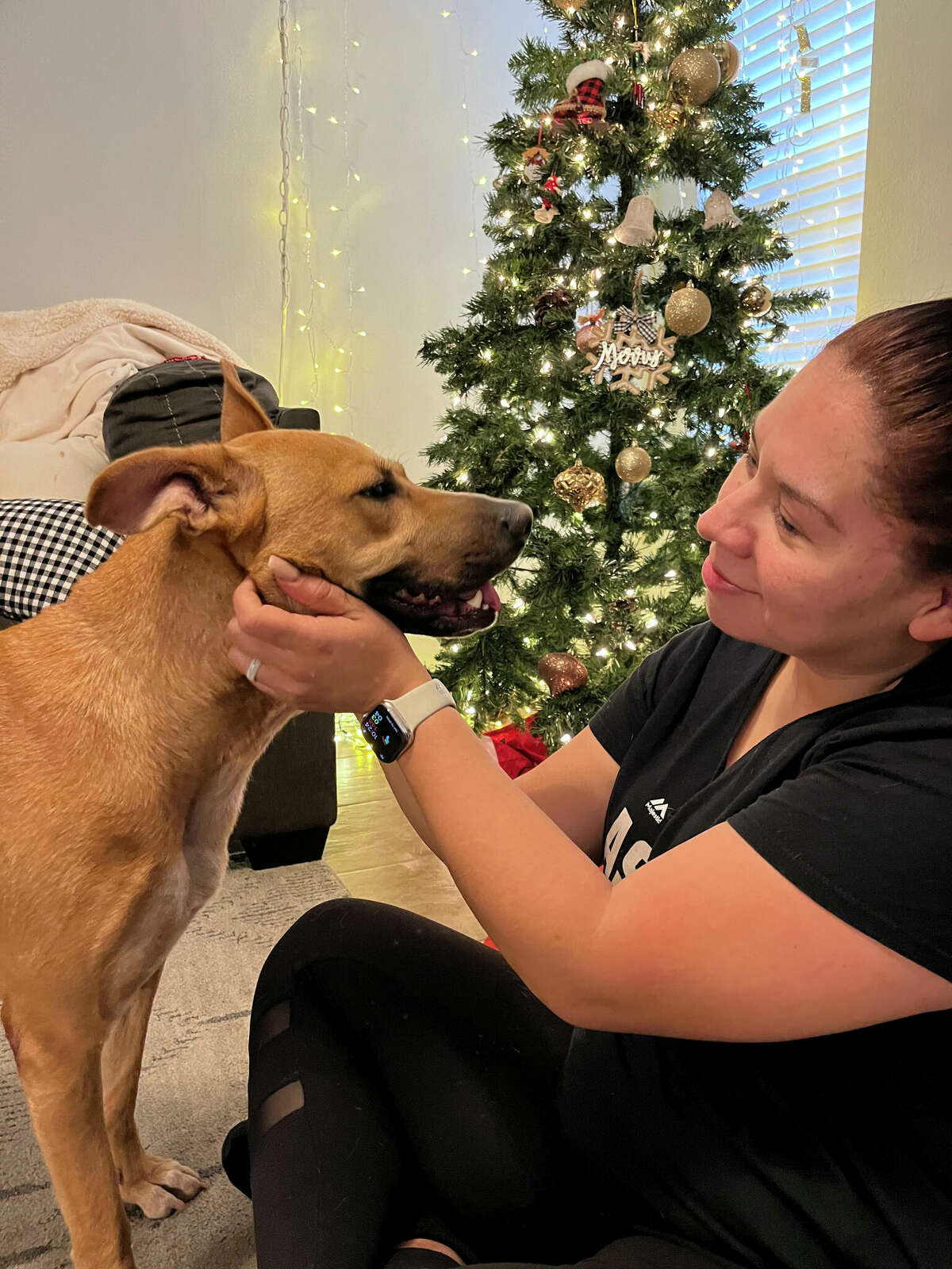 For Berenice Aldape, having Cookie back home a year after she went missing is a Christmas miracle. 