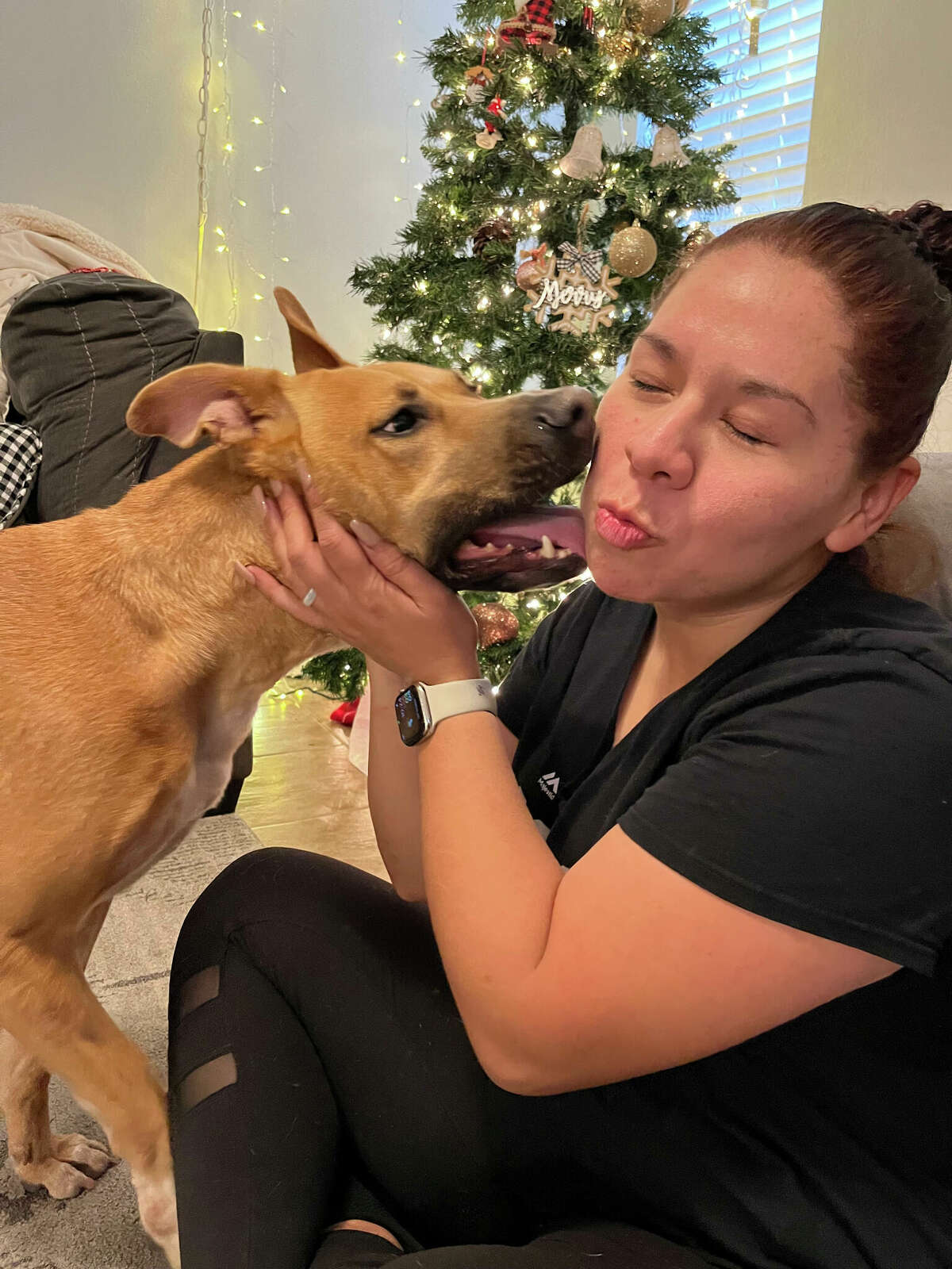 Aldape urges pet owners to register thier dogs and cats with a chip. She took it for granted, she said, that because Cookie was an indoor dog she was safe.  "You never know," she said. 