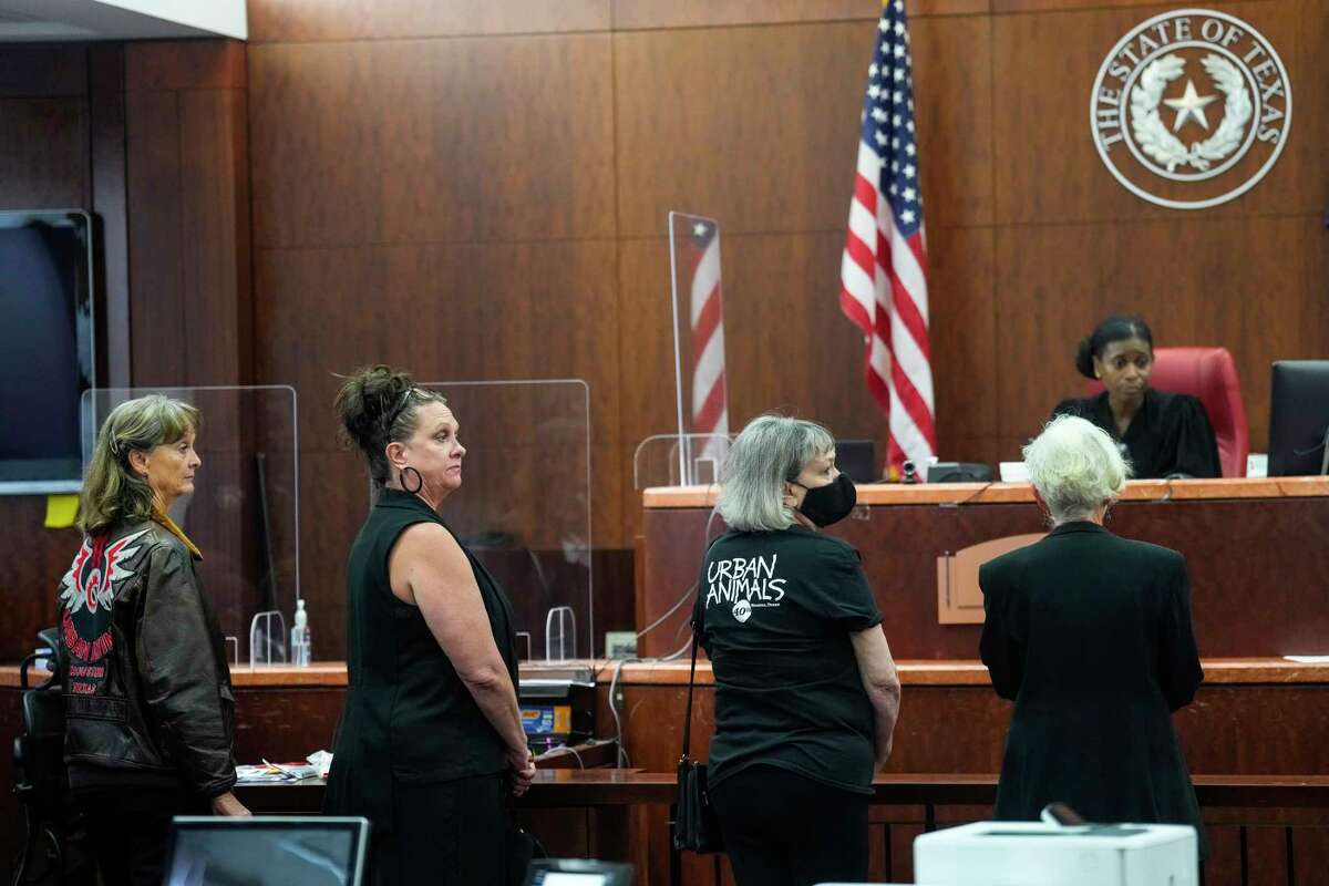 Members of Urban Animals stand before Judge Hazel B. Jones, who was told they must cover their shirts if they are in court during the trial against Lance Campbell in Houston, Friday, Dec. 9, 2022. . The costume pays tribute to Houston's famed rolling skating group and one of its members, Michael Haney, 60, a homeless man in June 2019 in the Washateria area around Hobby Airport. He was shot dead when he encountered a security guard outside.
