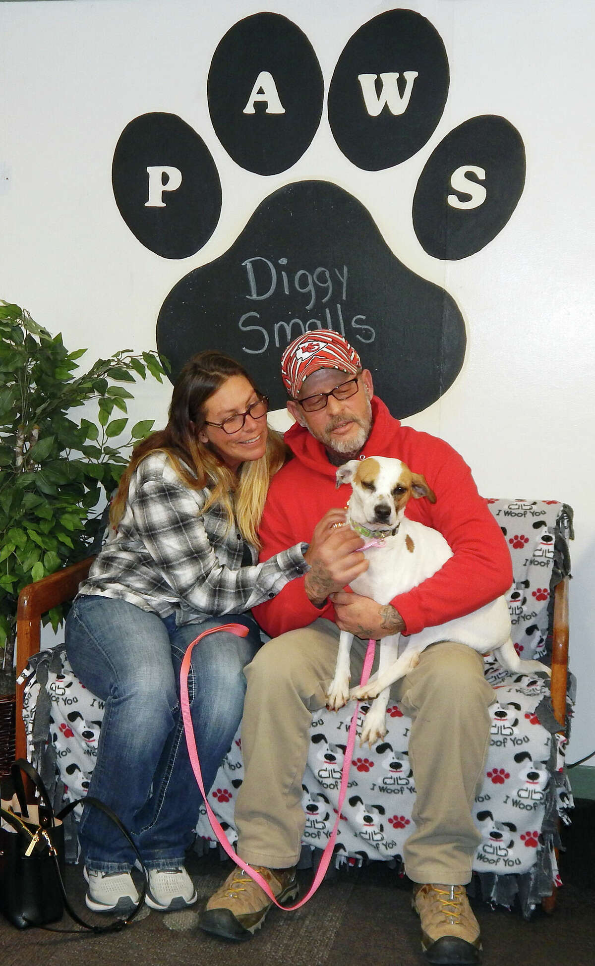 Laura and Tony Schmult say hello Friday afternoon to the newest member of their family, a Chihuahua-Jack Russell terrier mix-breed dog formerly known as Diggy Small. The couple, who said they plan to call her Little D, finalized the dog's adoption from the Protecting Animal Welfare Society, or PAWS, shelter in Jacksonville.