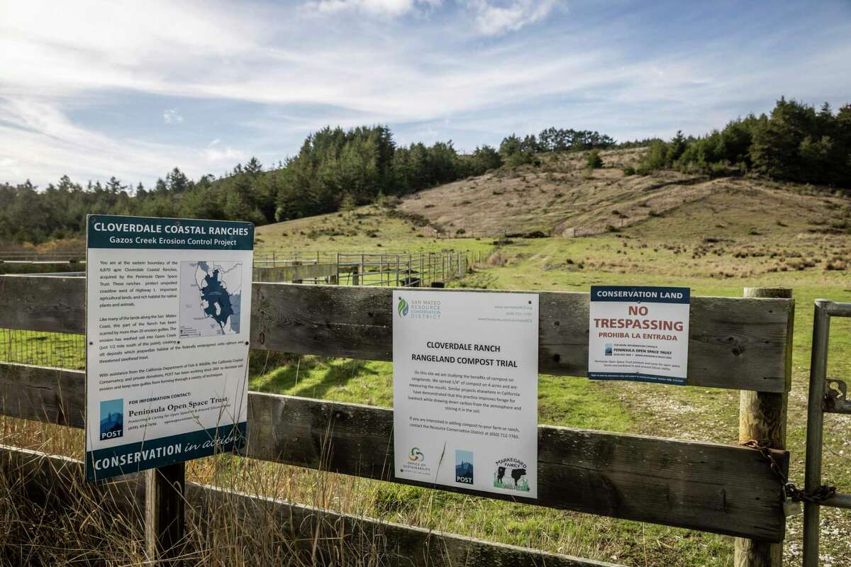 Conservation land along Cloverdale Road in Pescadero is currently owned by the Peninsula Open Space Trust.