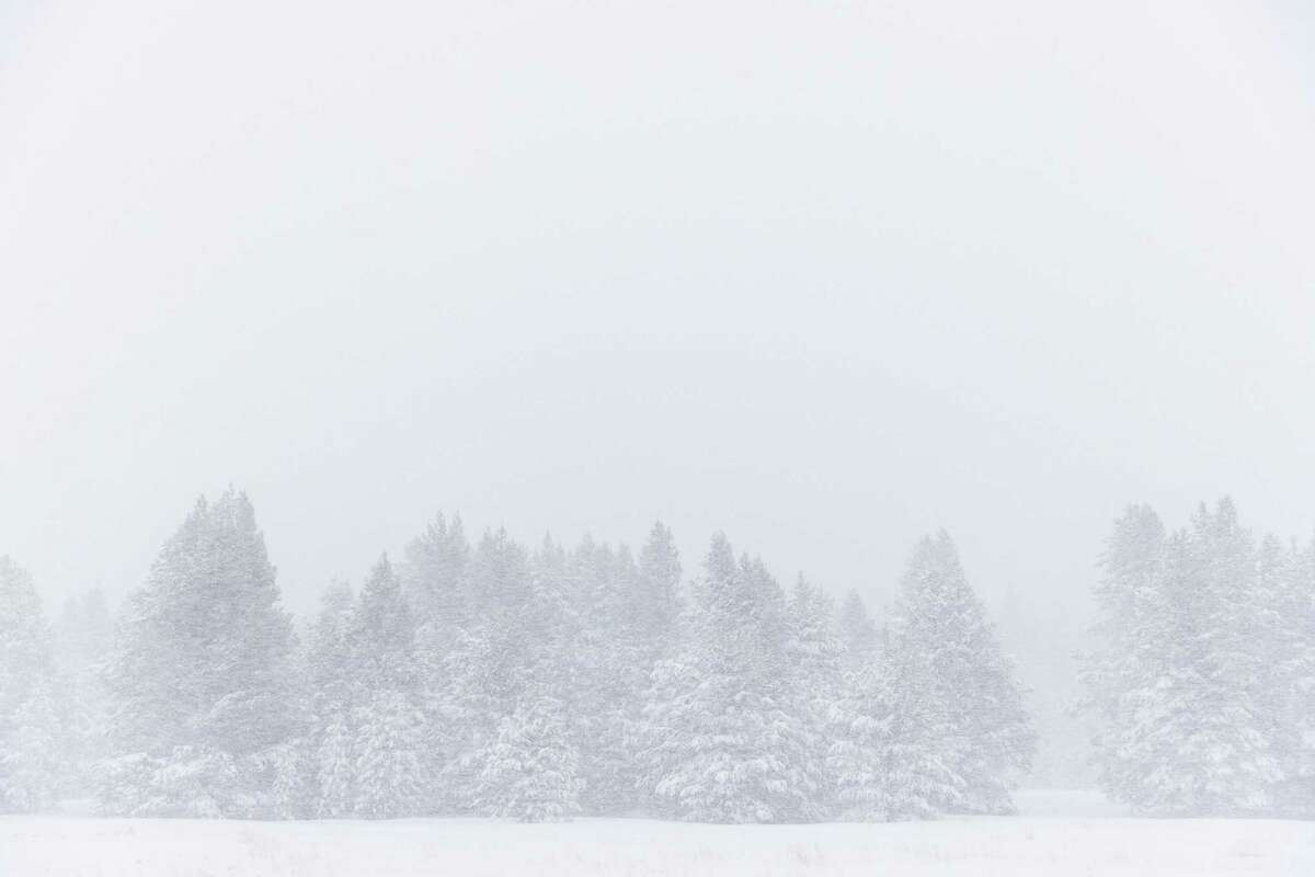 在南太浩湖的一次白雪皑皑期间，雪开始覆盖森林。