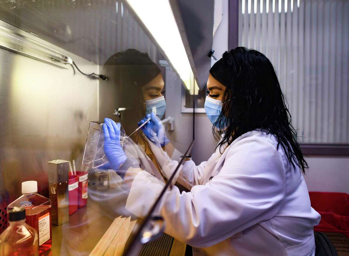 Desarey Morales Vasquez of the Texas Biomedical Research Institute works with cell cultures to generate cell lines to work with protein of SARS-CoV-2.