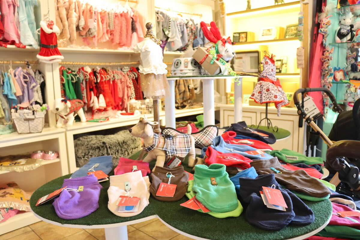 Get to know the owner of Pippa's Closet, a dog boutique in Beaumont