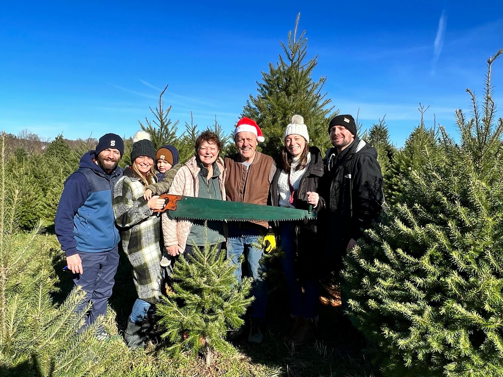 What is the Cenotaph, where is it and what does it have written on it