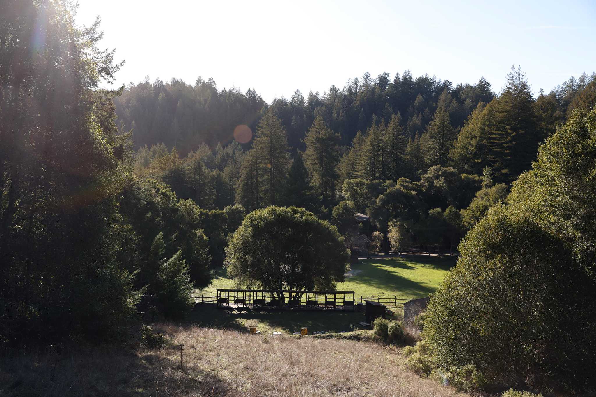 Bay Area’s Camp Jones Gulch and surrounding redwood grove to be permanently preserved