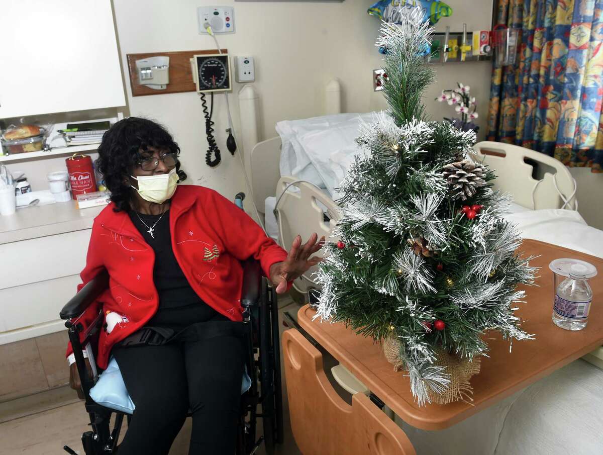 126 little Christmas trees brighten up the holidays at Gaylord