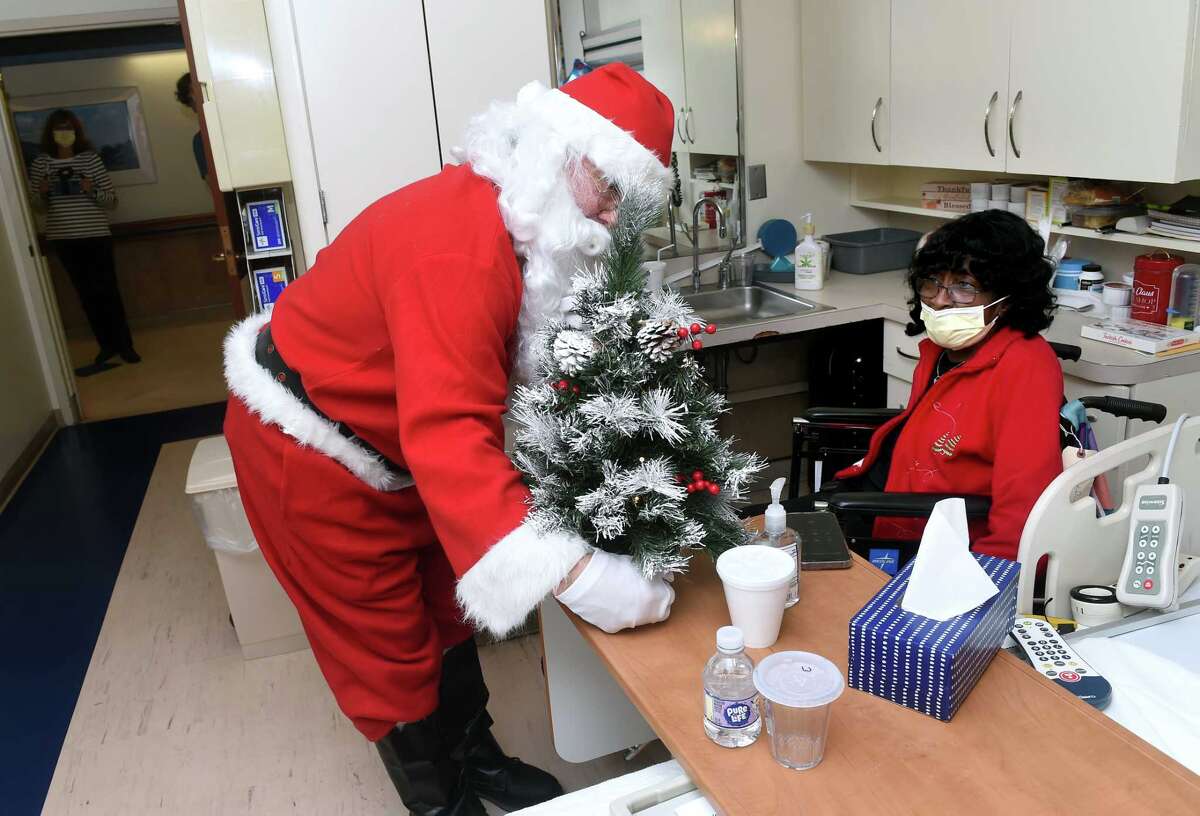 126 little Christmas trees brighten up the holidays at Gaylord