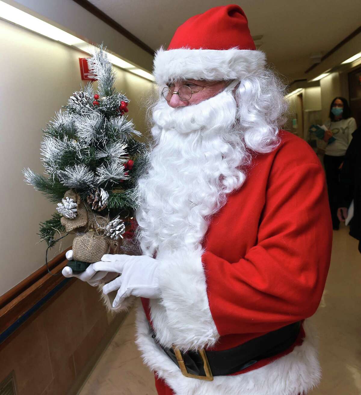 126 little Christmas trees brighten up the holidays at Gaylord