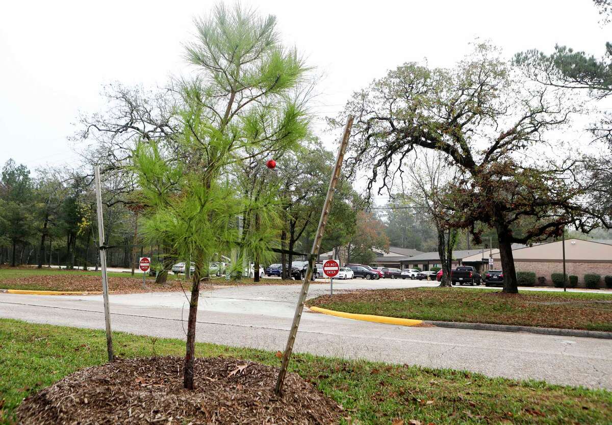Kingwood's Livable Forest gets makeover after 50 years