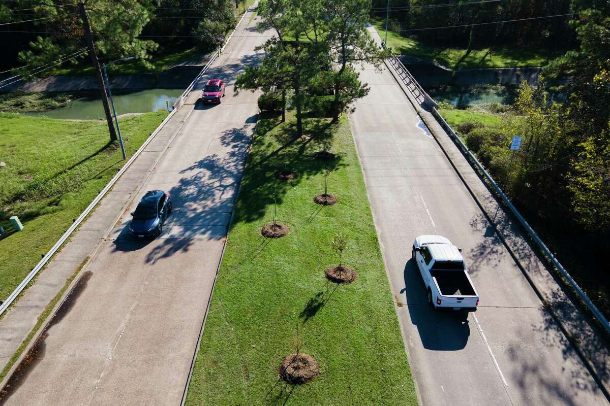 Vehicles pass young trees along Woodlands Hills Drive near Northpark Drive, Wednesday, Dec. 14, 2022, in Kingwood. The trees were planted by the nonprofit group Trees for Kingwood, whose goal is to help replace the estimated 10,000 trees lost to the community over the past 50 years following hurricanes, flooding and threats from various invasive species.