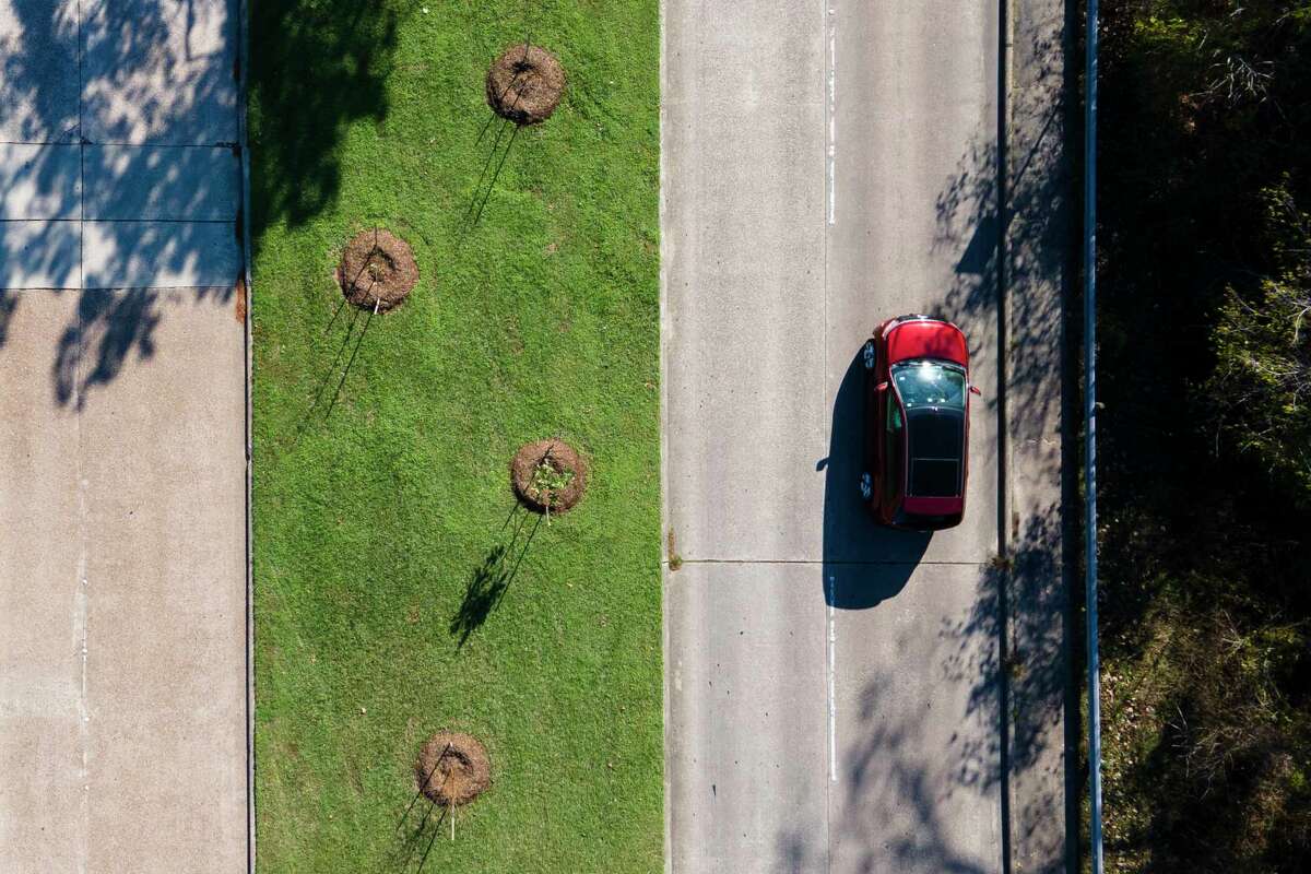 Kingwood's Livable Forest gets makeover after 50 years