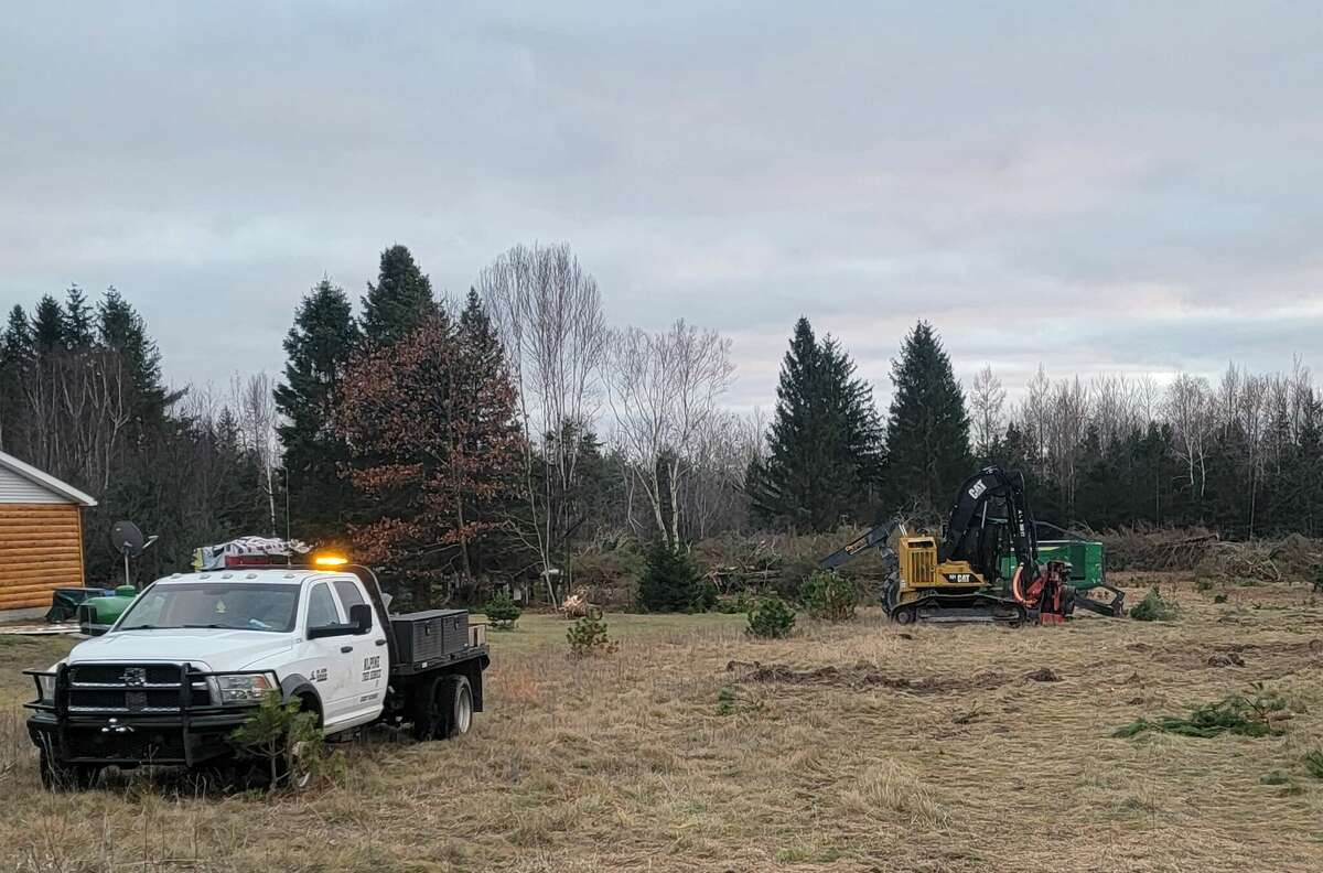 Work has begun removing trees from property near the Frankfort Dow Memorial Airport where they were deemed to be obstructing the runway's approach path. 