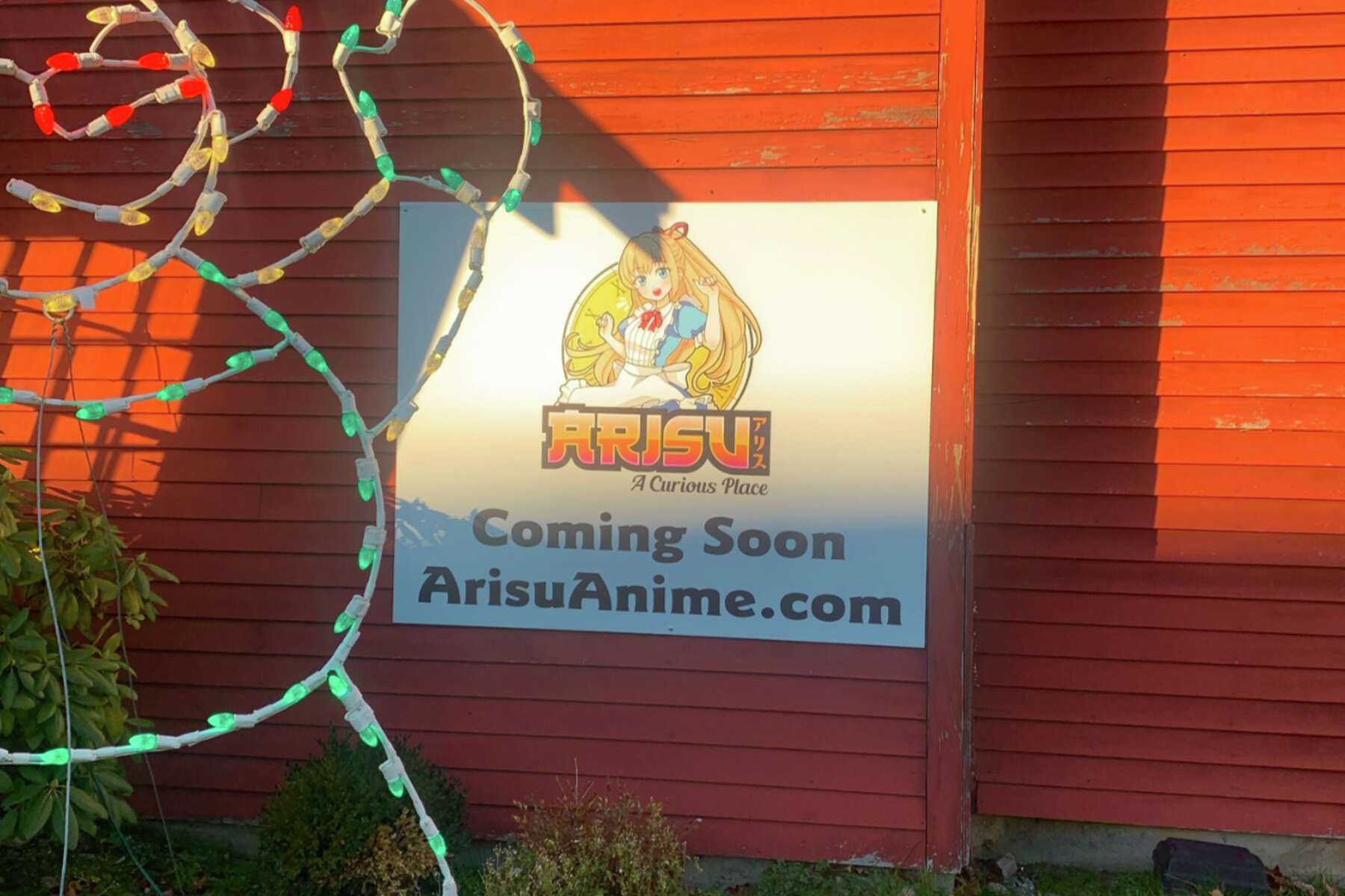 Immersive Fun For Everyone! New Anime Store Announced by Alice in
