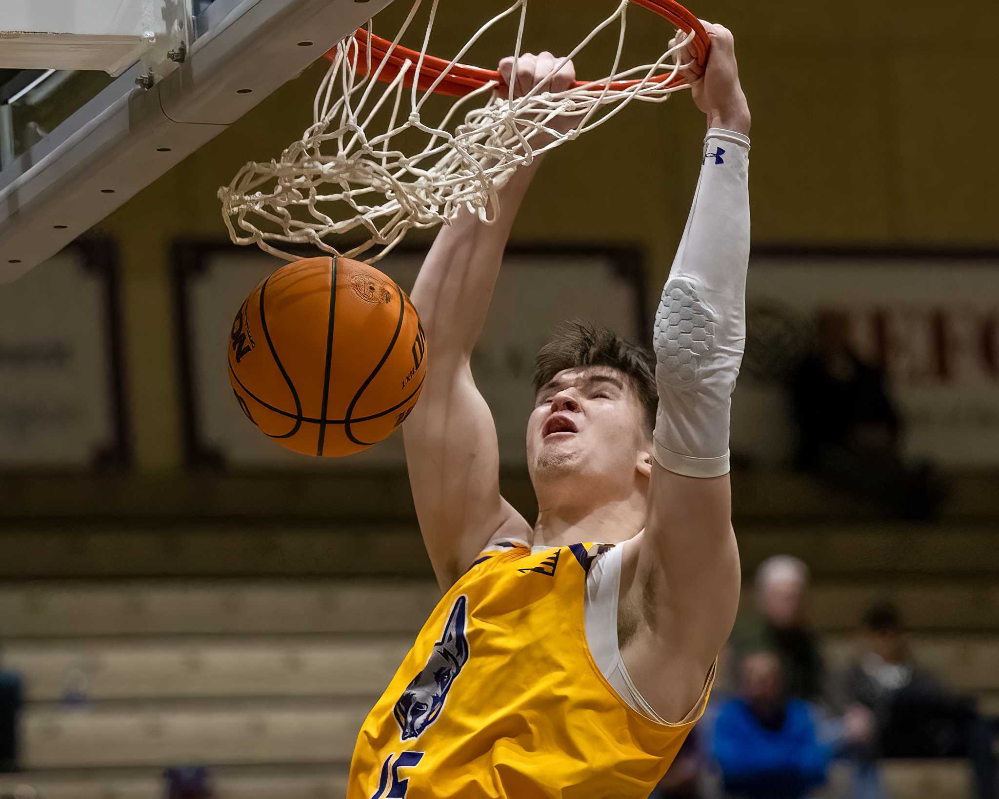 UAlbany men's basketball beats Long Island University to end skid