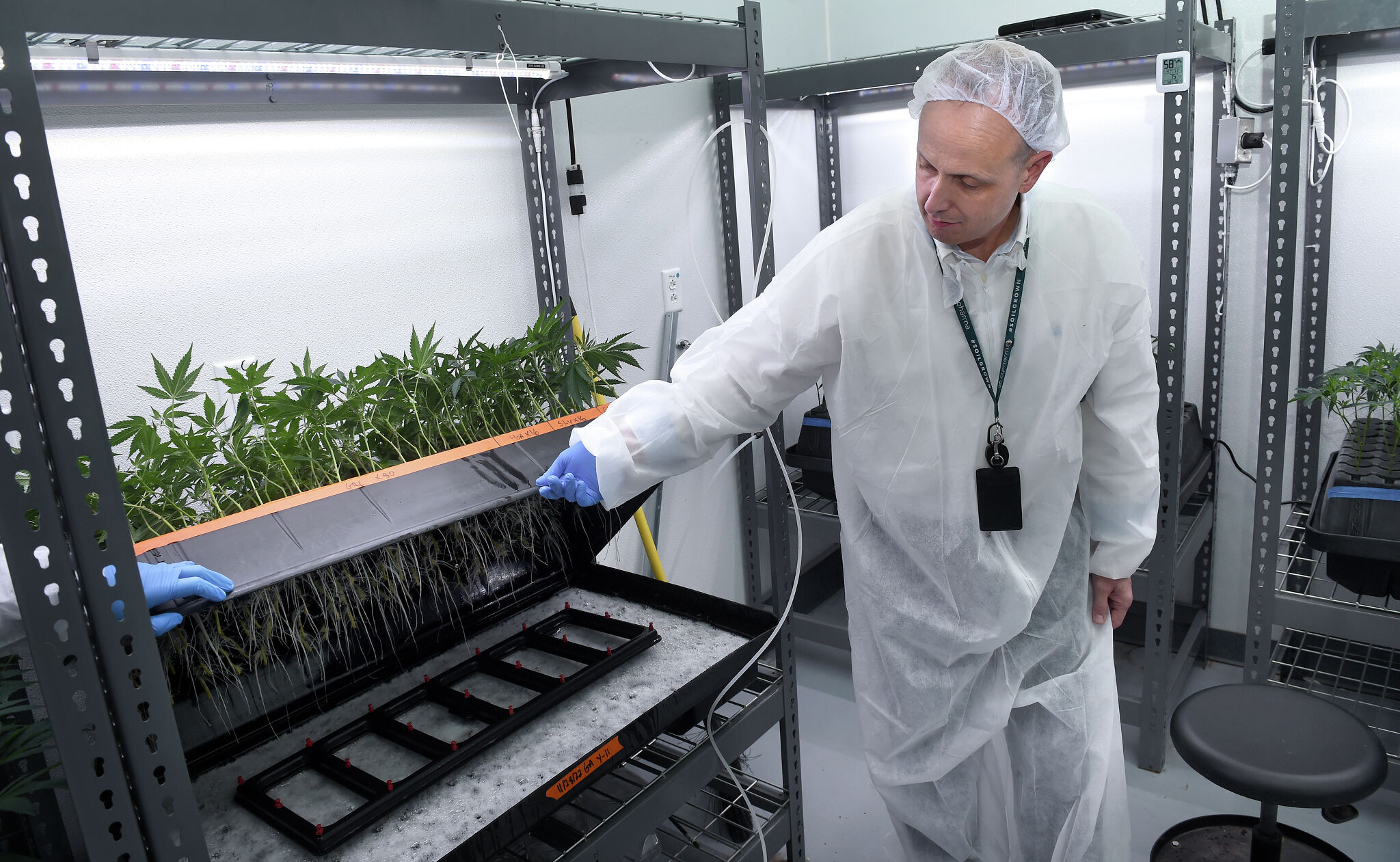 CT recreational cannabis dispensaries open Tuesday: What to know about locations, sales and more CT recreational cannabis dispensaries open Tuesday: What to know about locations, sales and more