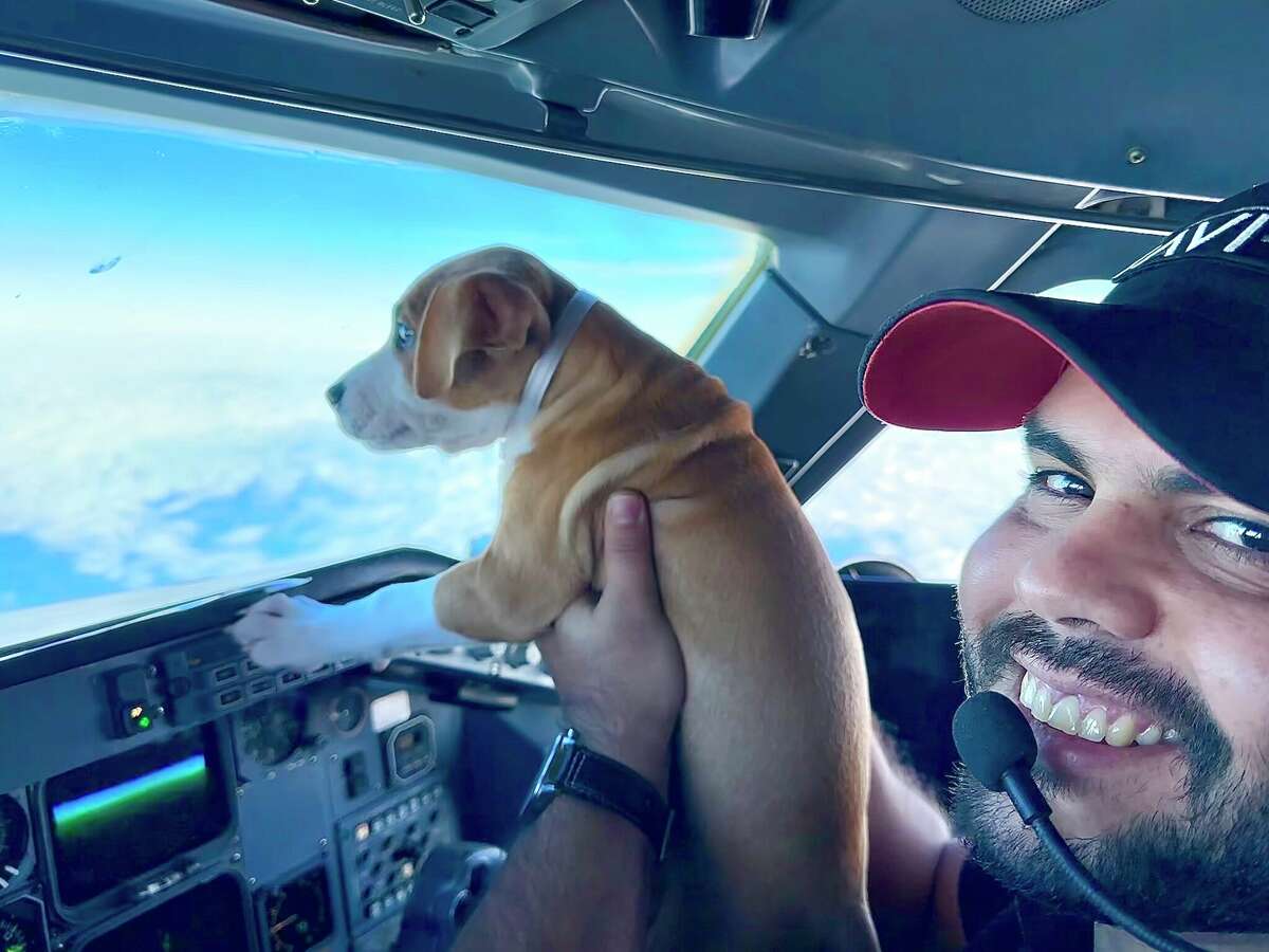 A pilot poses with a puppy during a Wings of Rescue flight from the Montgomery County Animal Shelter to a mega adoption event in Delaware. The nonprofit group transported about a hundred dogs from the overcrowded shelter on Dec. 9, 2022. 