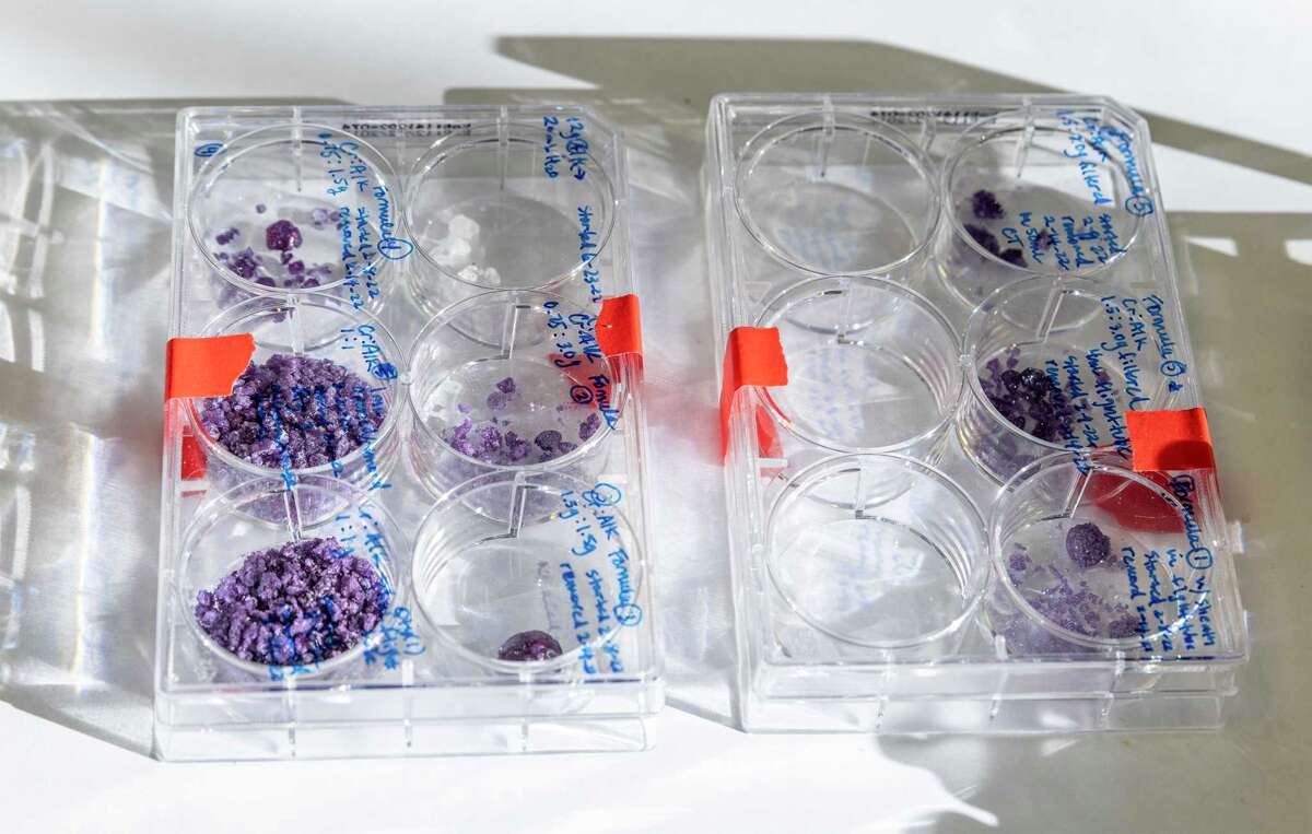 Houston companies send cremated remains, crystallized DNA into space