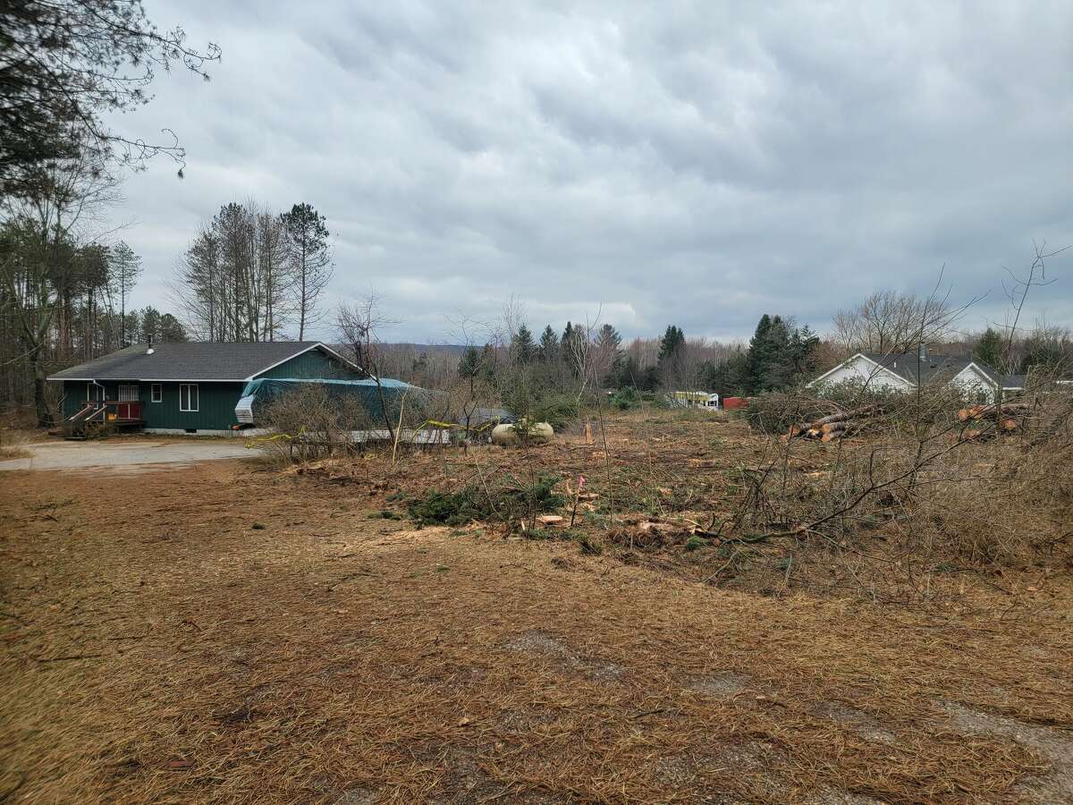 Trees were removed from Judy VanMeter's property as part of work done to clear the approach path to the Frankfort Dow Memorial Airport. 