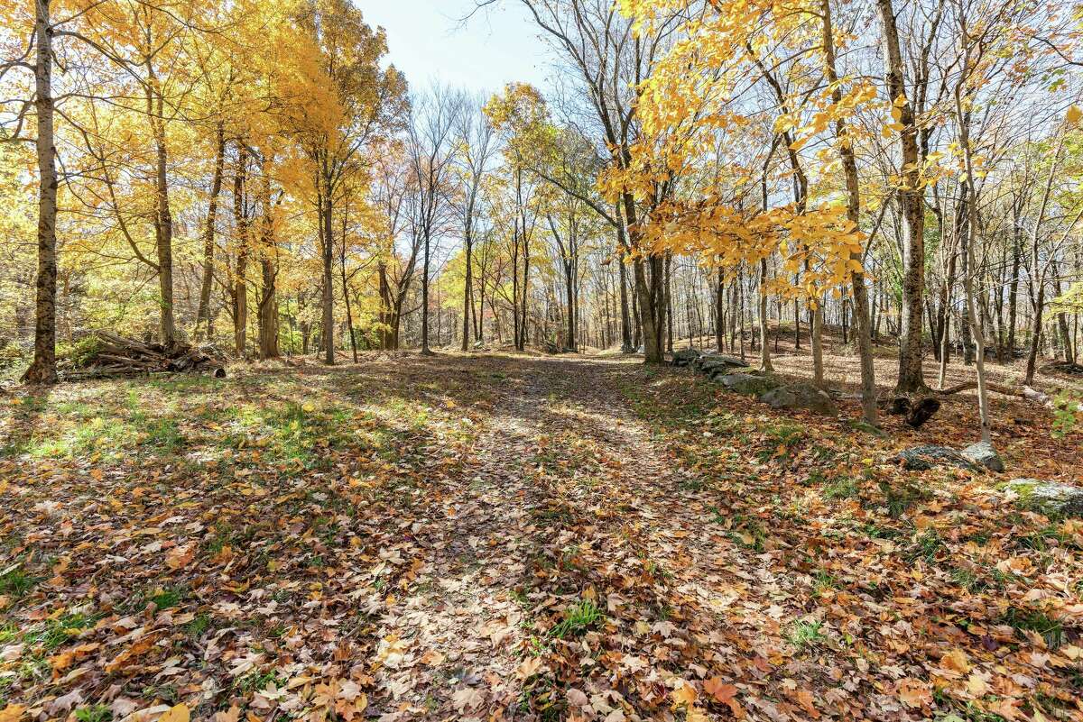 Owned by the wealthy Rockefeller family for over 100 years, 54 acres of undeveloped land located at 181 Glenville Road in Greenwich has hit the market for $21,500,000.