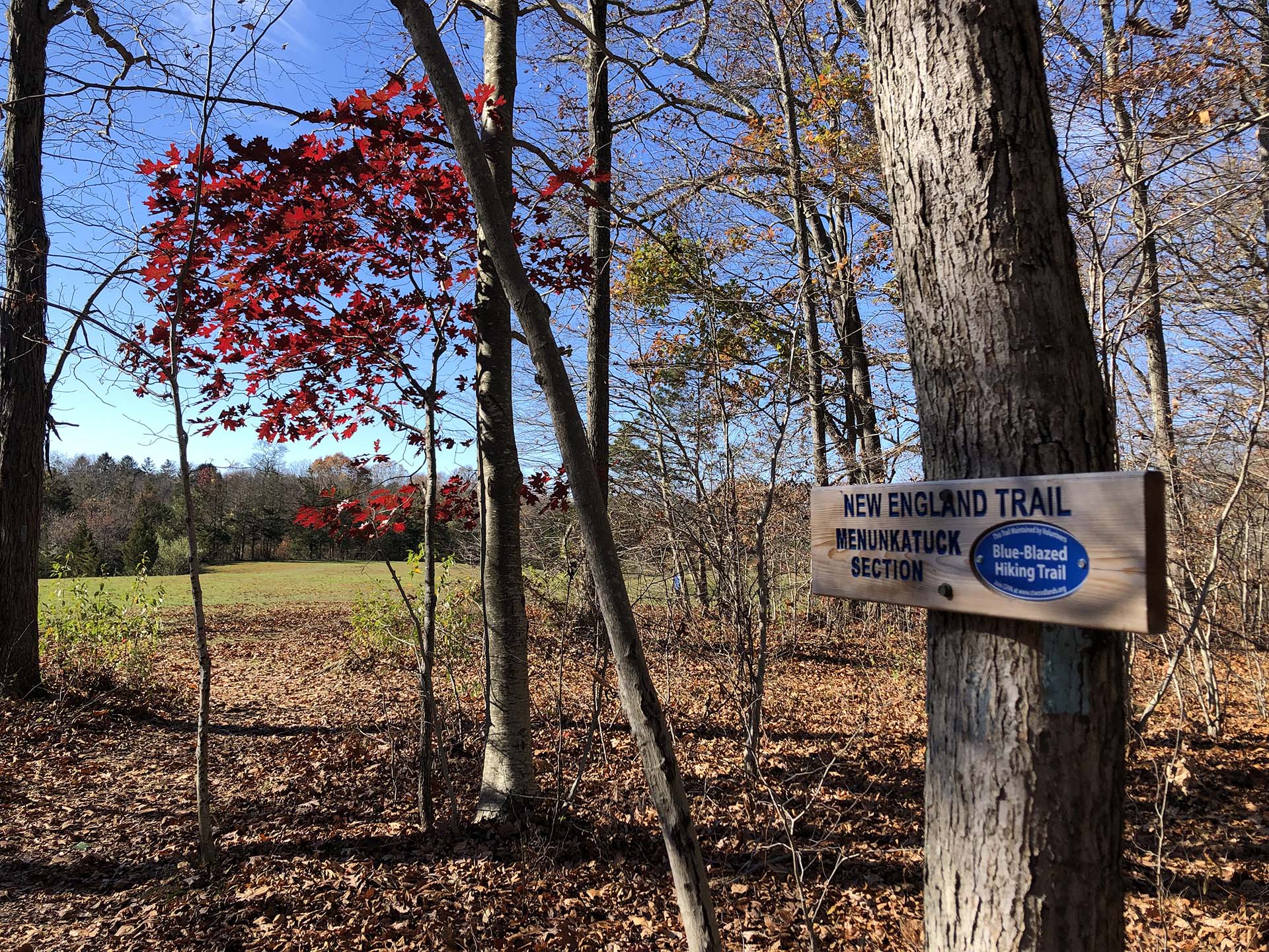 East River Preserve in Guilford is a casual but scenic CT hiking route
