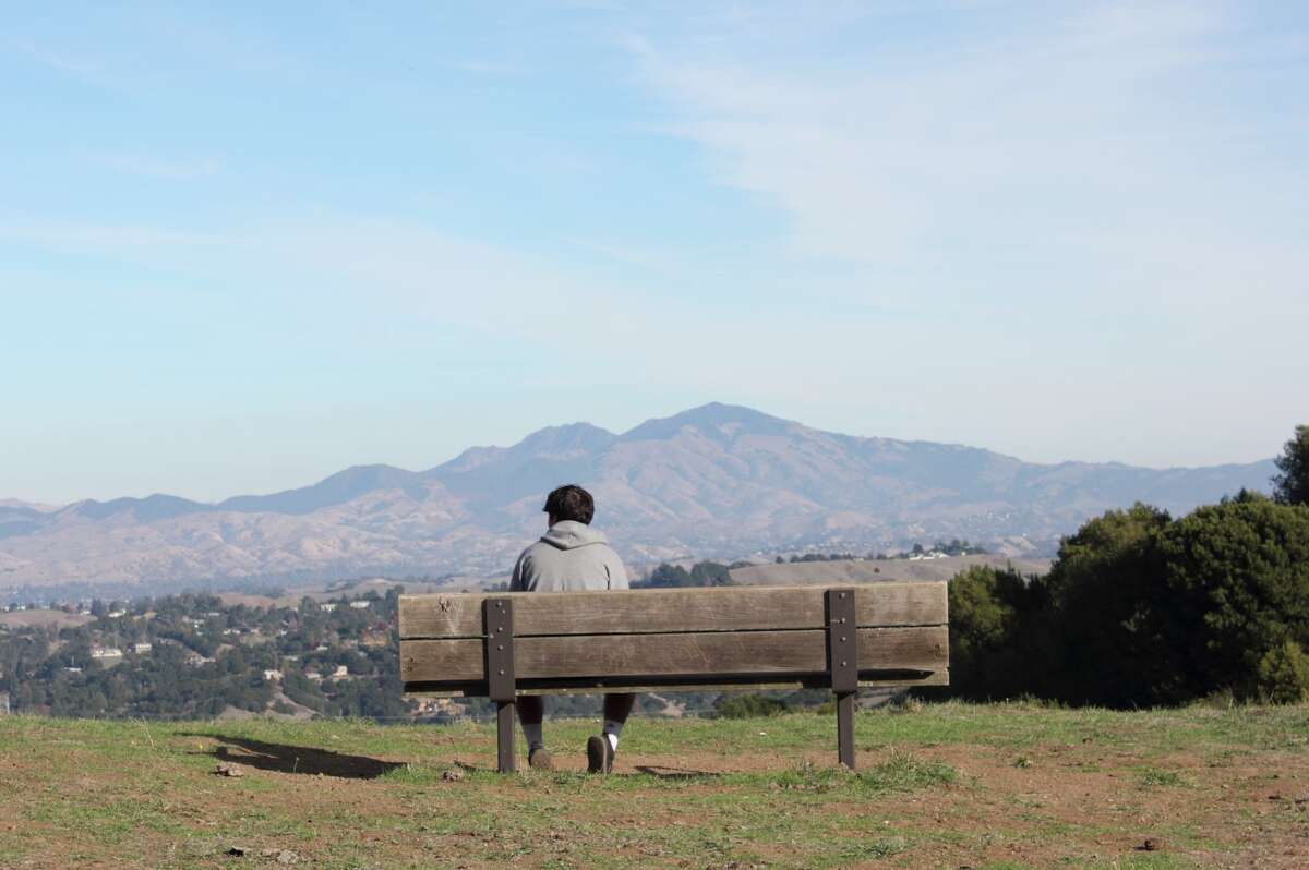 View of Mt. Diablo from the Sibley Volcanic Regional Preserve in Oakland, California.