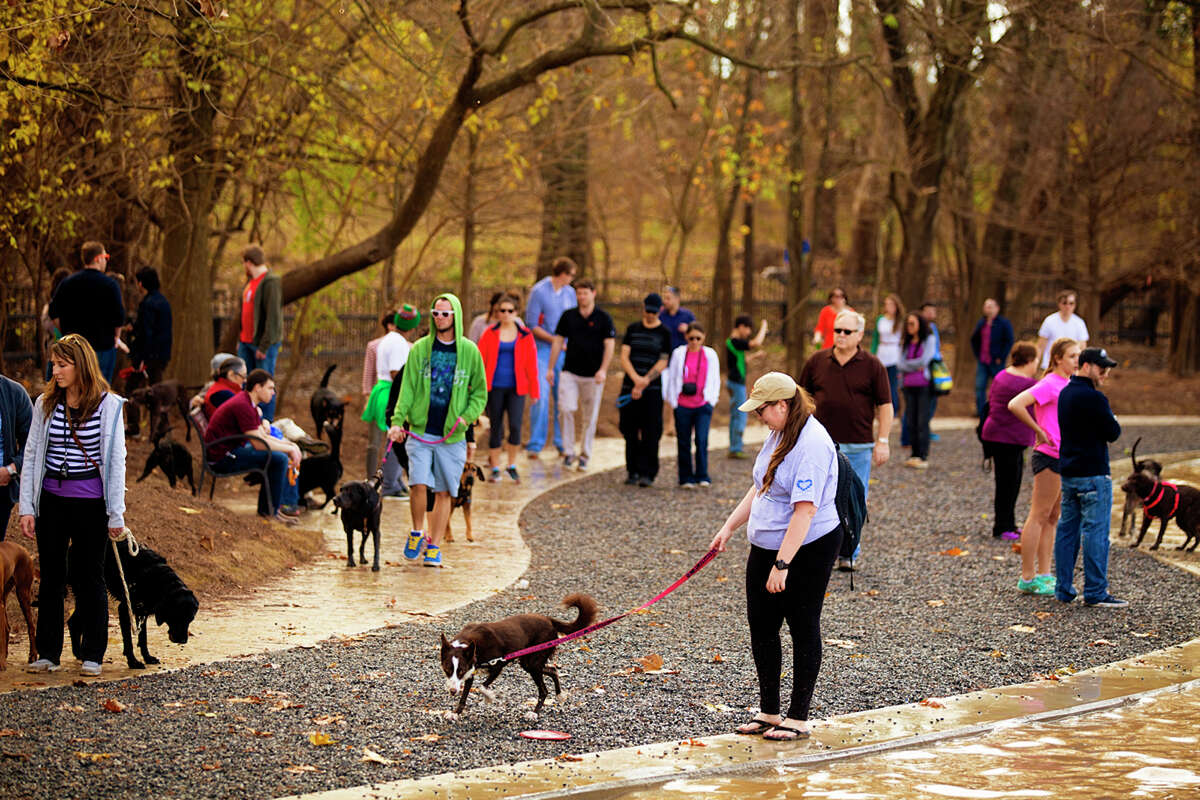 The 5 best off-leash dog parks in Houston