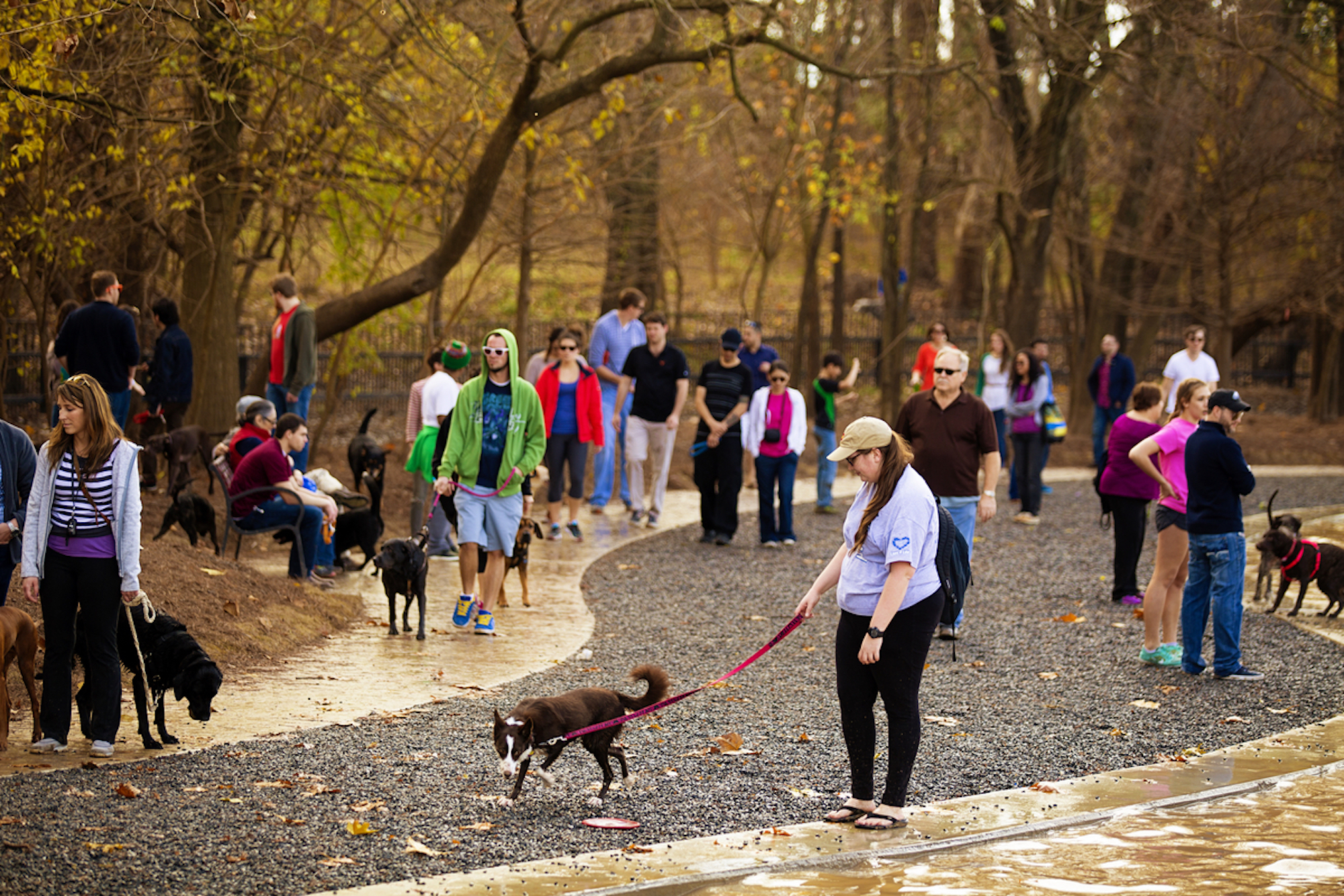 The 11 Best Houston-Area Dog Parks to Enjoy With Your Dog