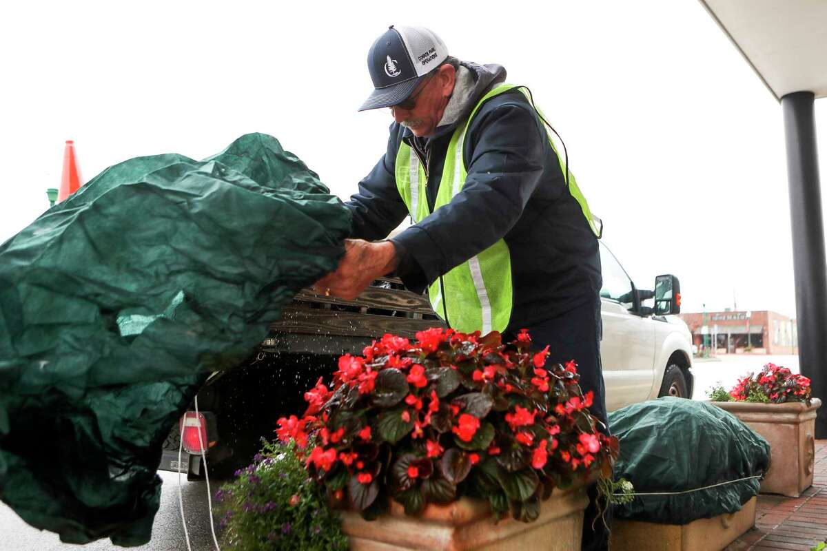John Davis Sapp, with Conroe's Park and Recreation Department, works to cover a planter with begonia and purple and white angelonia plants in front of the Crighton Theater, Tuesday, Dec. 20, 2022, in Conroe. “Most of these plants should make it, but others you do what you can and hope for the best,” Sapp said. “The rain will let up before the worse of it gets here, so it doesn’t look like conditions will be as bad as last year’s freeze. Still, you still prepare the same. Things can change quickly.” A cold front forecasted to sweep across Texas could plunge temperatures in and around Houston into the 20s or lower, the National Weather Service said. A forecast predicting very cold temperatures on the night of Thursday, Dec. 22 into the following morning. The sub-freezing could last through Christmas Day on Sunday.