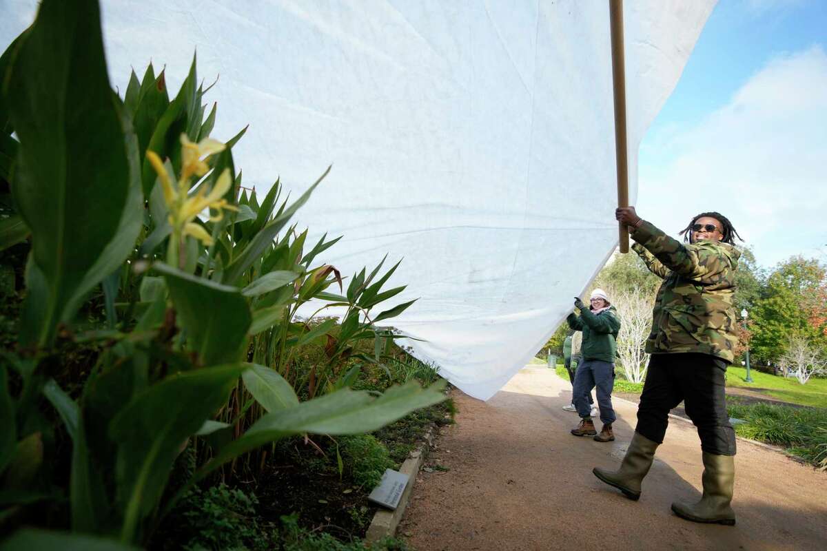 Jennifer Marino, left, and John Mitchell, right, some  Hermann Park Conservancy unit   members, assistance   screen  plants successful  the perennial borderline  astatine  the McGovern Centennial Gardens Wednesday, Dec. 21, 2022, successful  Houston.