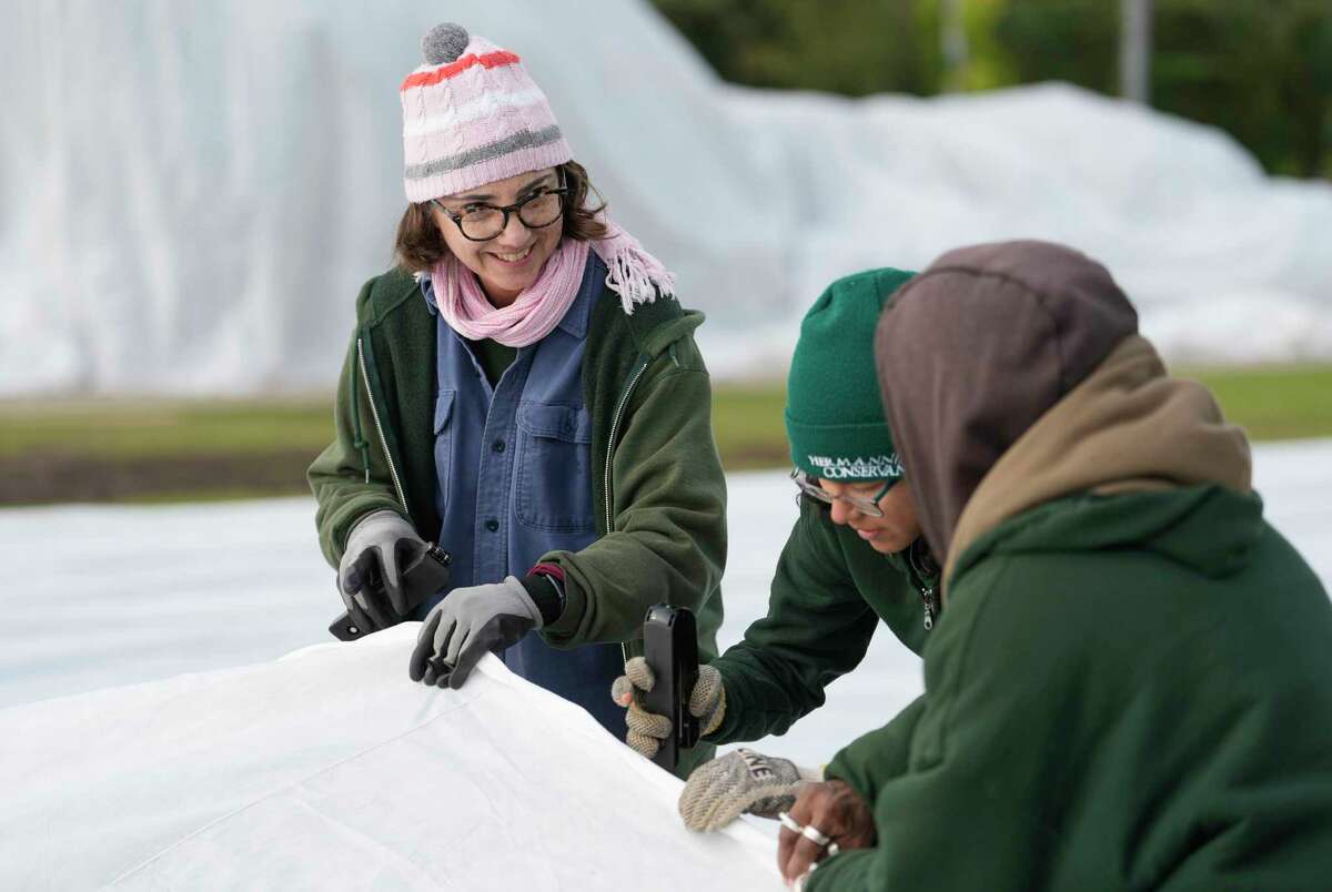 Jennifer Marino, left, and Elizabeth Salas, center, some  Hermann Park Conservancy unit   gardeners, staple 2  pieces of frost cloth unneurotic  arsenic  unit   and volunteers enactment    to screen  plants successful  the perennial borderline  astatine  the McGovern Centennial Gardens Wednesday, Dec. 21, 2022, successful  Houston.