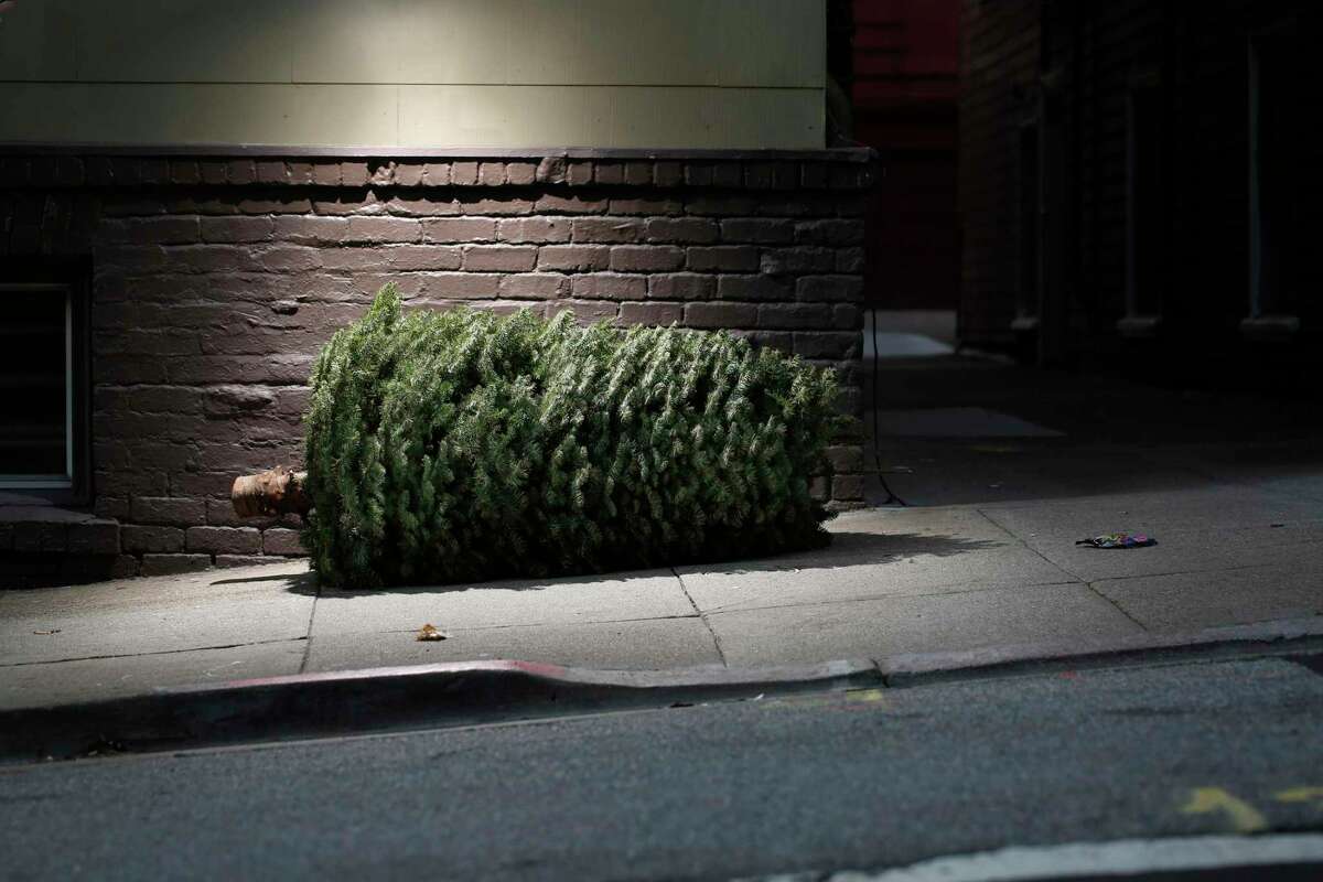 Christmas tree complaints in San Francisco start to spike in January.