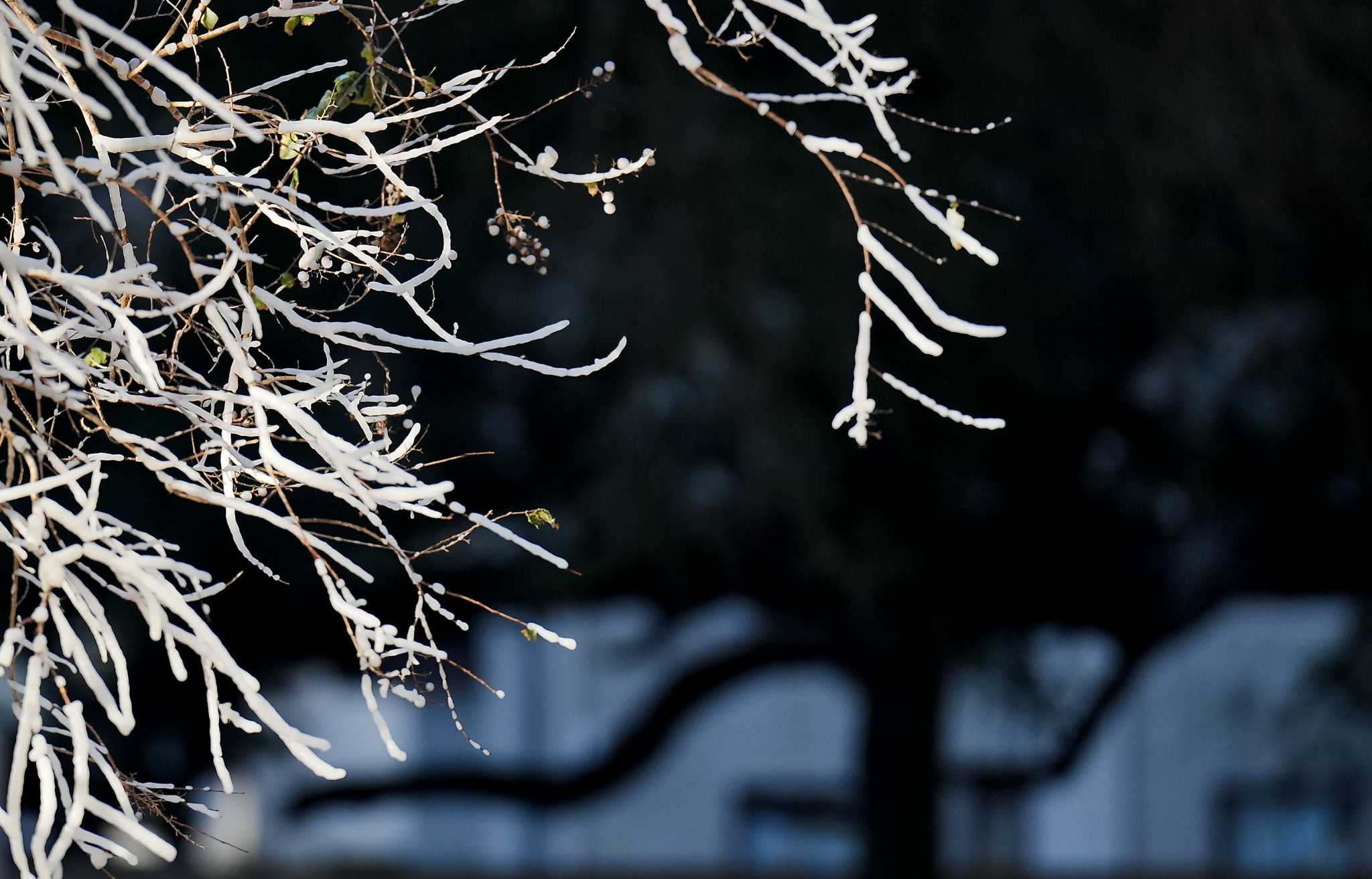 Texas electric grid survived deep freeze. The Legislature will