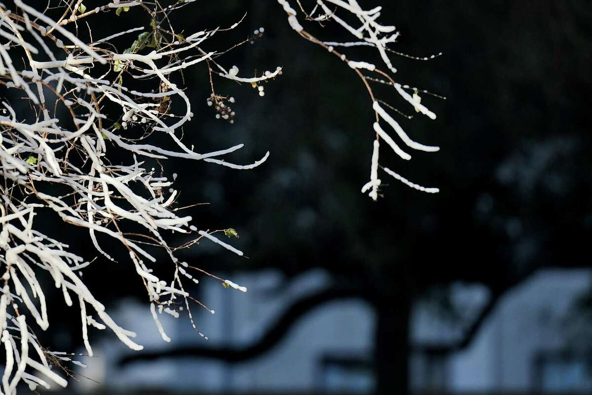 Story photo for Tomlinson: Texas' electric grid barely survived the deep freeze. Will it survive the Legislature?