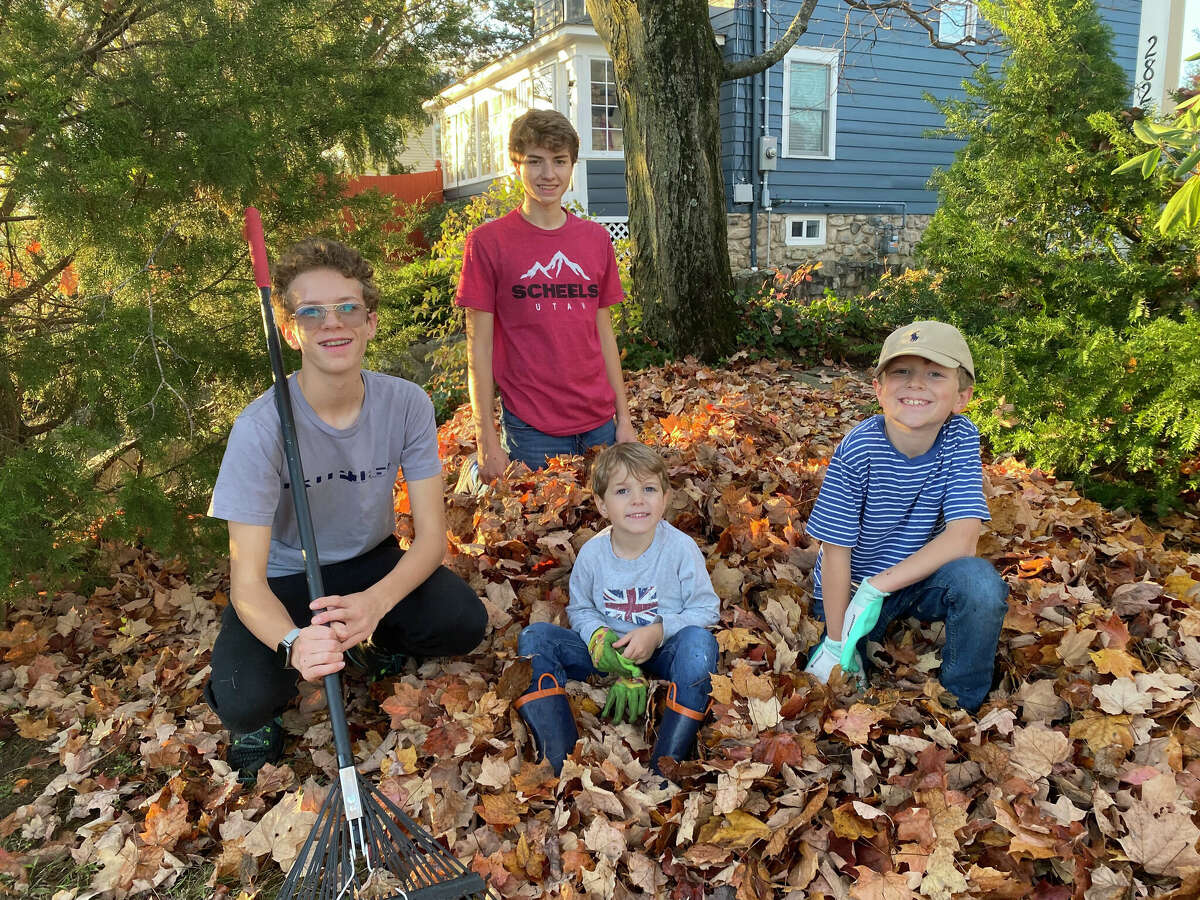 Gavin, Andrew, Beckett and Jack Wheeler helped make the lives of Dariens seniors easier through their leaf raking efforts.