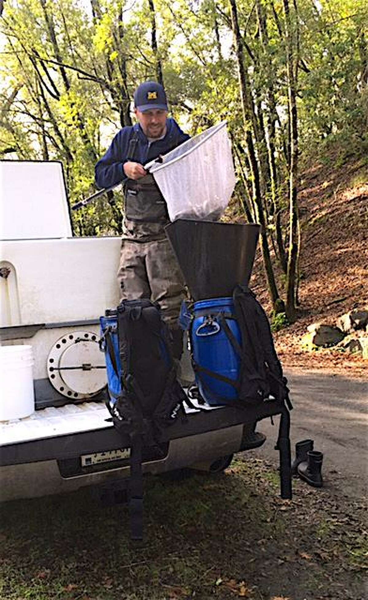 一名志愿者将银鲑幼鱼装入背包中的集装箱，运往索诺马县俄罗斯河的一条支流波特溪，以帮助启动2017年的银鲑恢复项目。