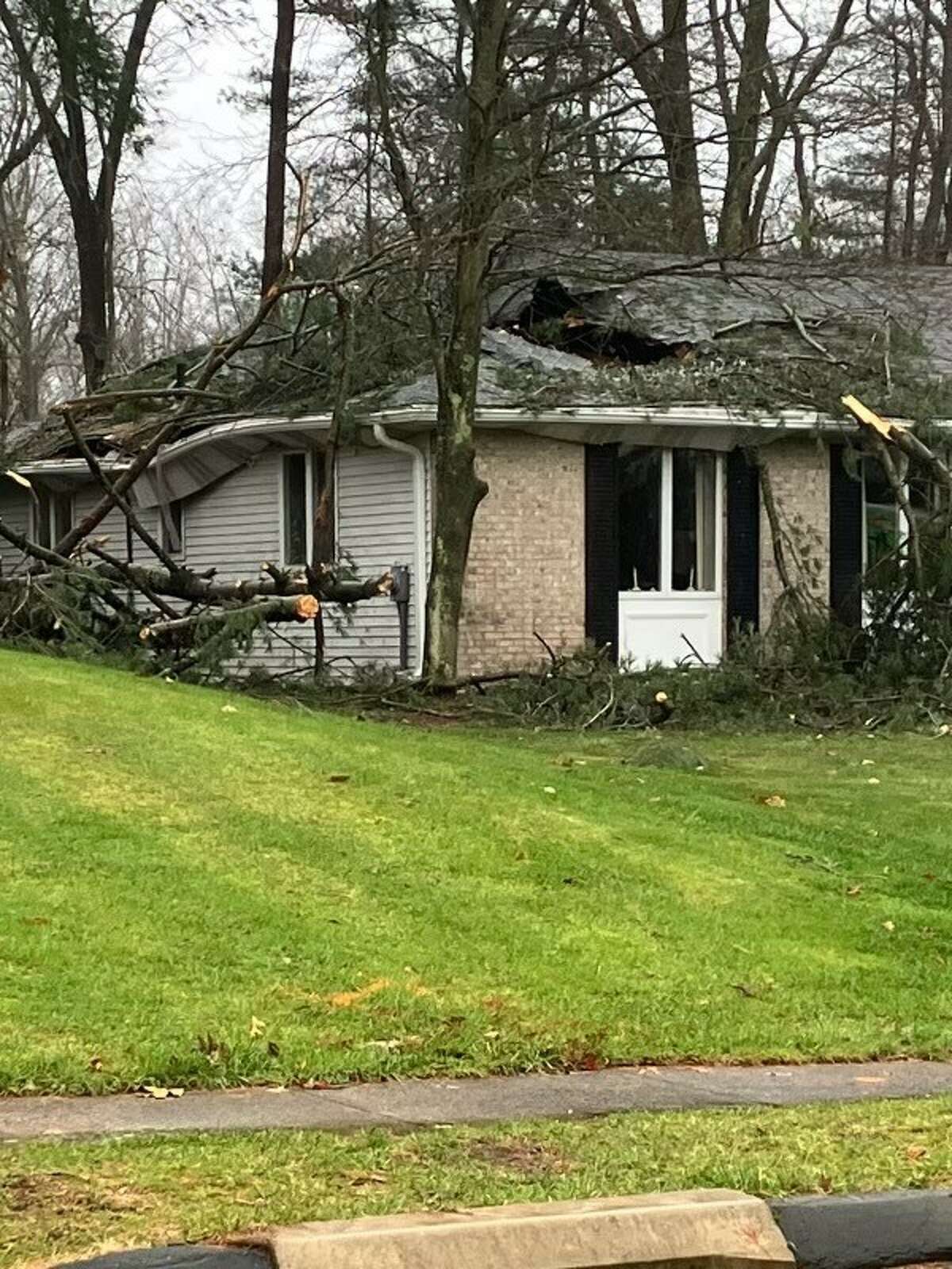 A tree fell and damaged a home on Berle Road in South Windsor as high winds and heavy rains swept across Connecticut Friday. No one was injured.