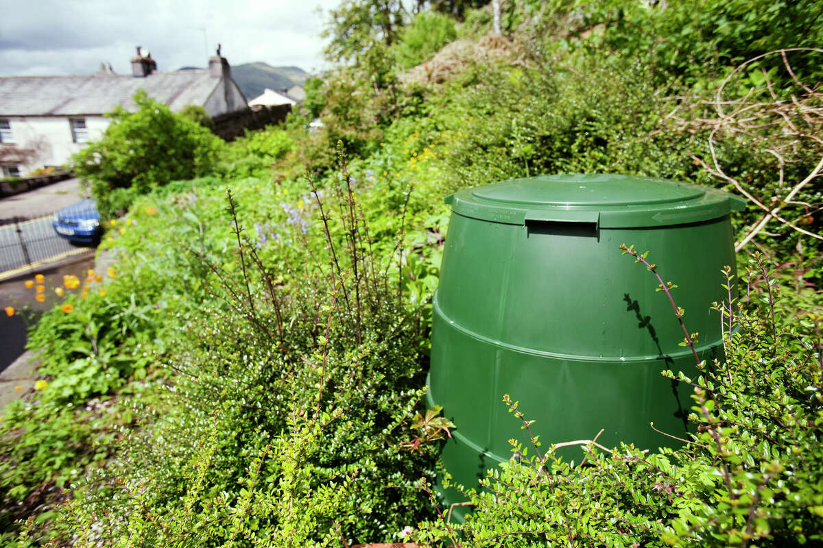 New 12 months’s resolutions for gardeners