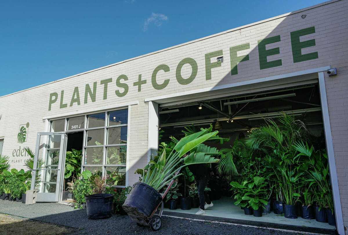 What To Plant In Houston In May at Todd McMillon blog