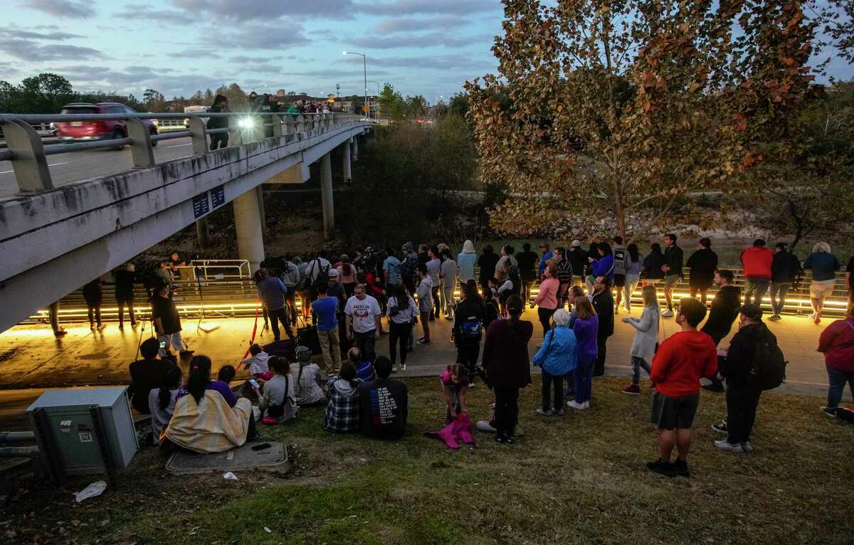 Houston's (now unfrozen) Waugh Bridge bats released back into the wild