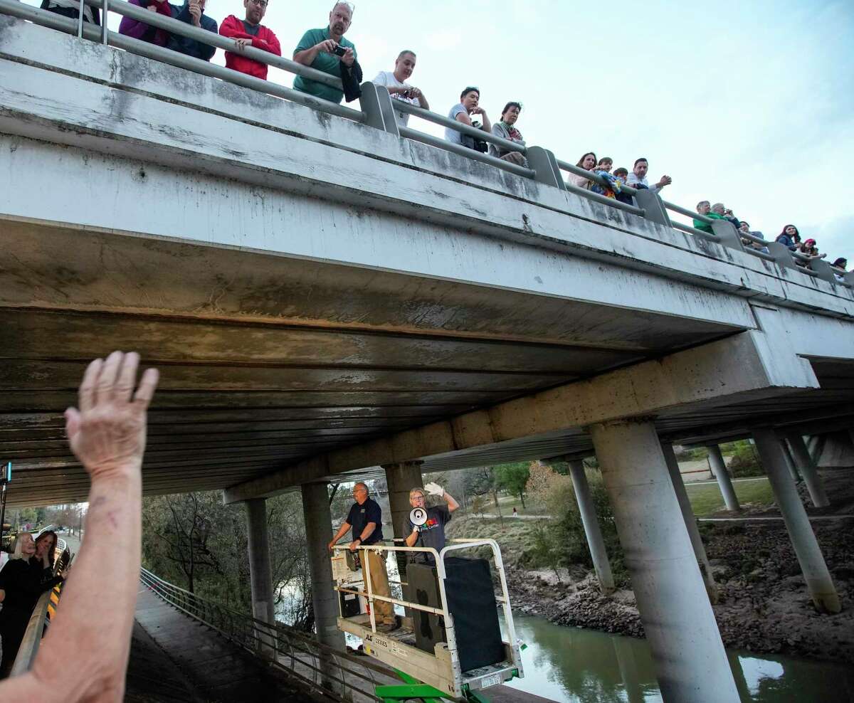 Houston's (now unfrozen) Waugh Bridge bats released back into the wild