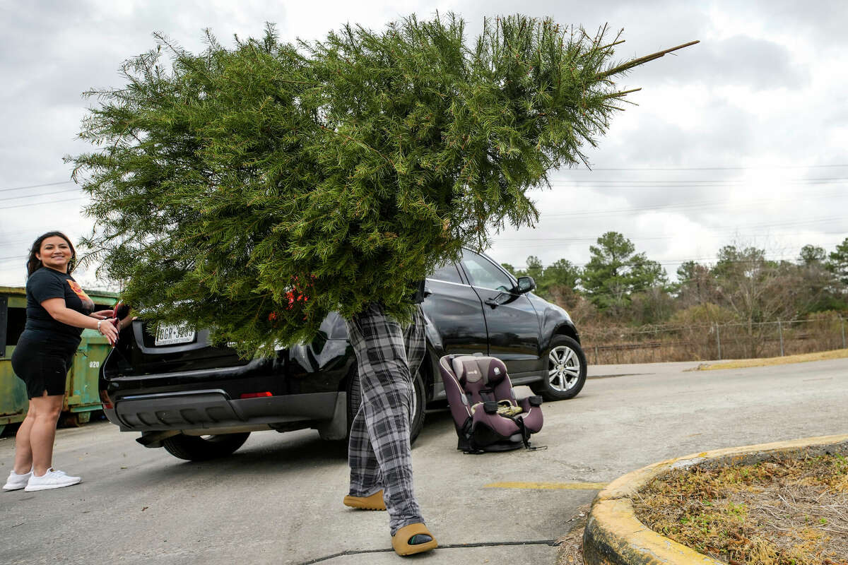 Octavian Rosales drops off a Christmas tree to be recycled at Central Neighborhood Repository on Thursday, Dec. 29, 2022 in Houston. Christmas tree drop-off recycling locations are located throughout Houston. The final day for drop offs is Tuesday, Jan. 31, 2023. Recycling is also available for live Christmas trees through the city's yard waste curbside collection program.