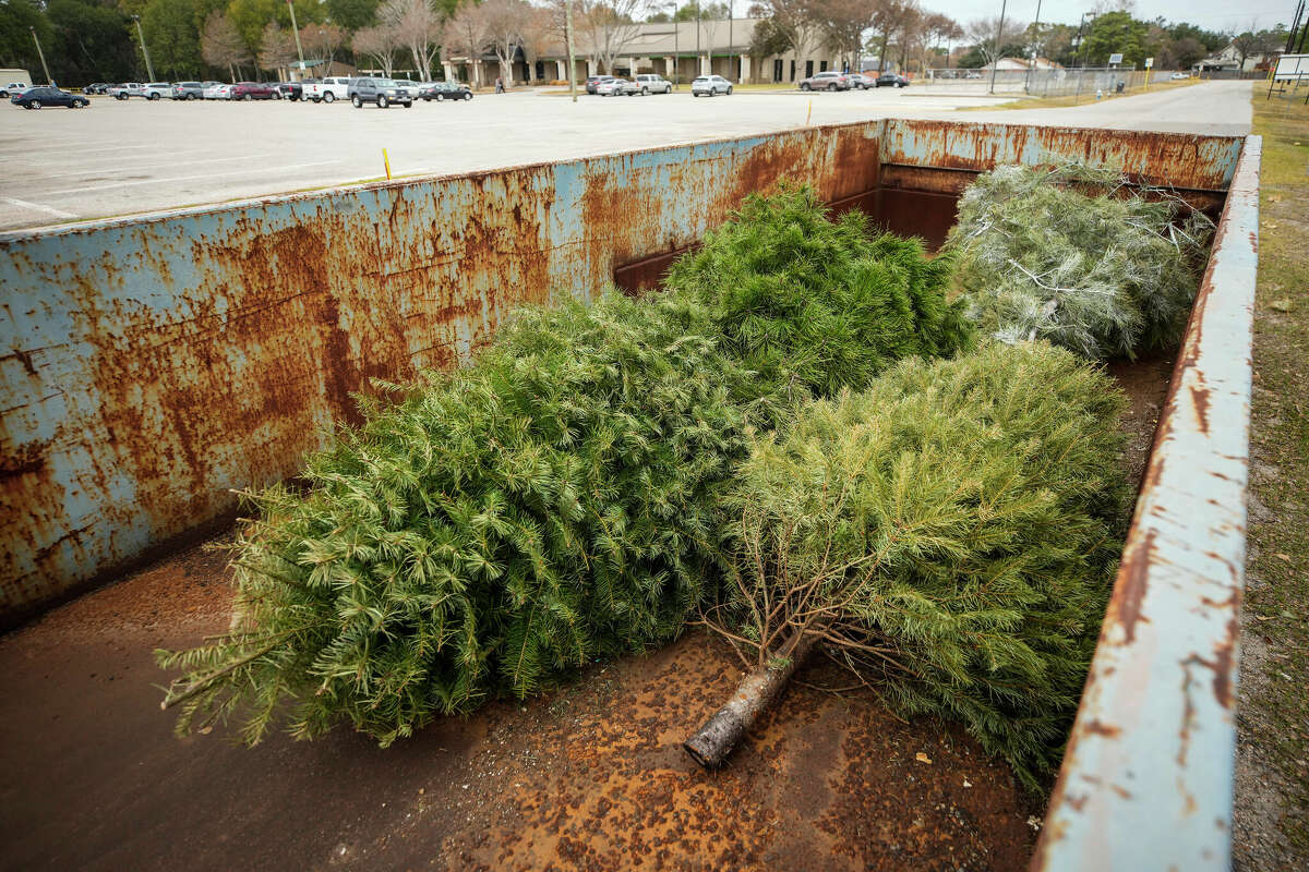 Christmas tree recycling drop off sites in Houston