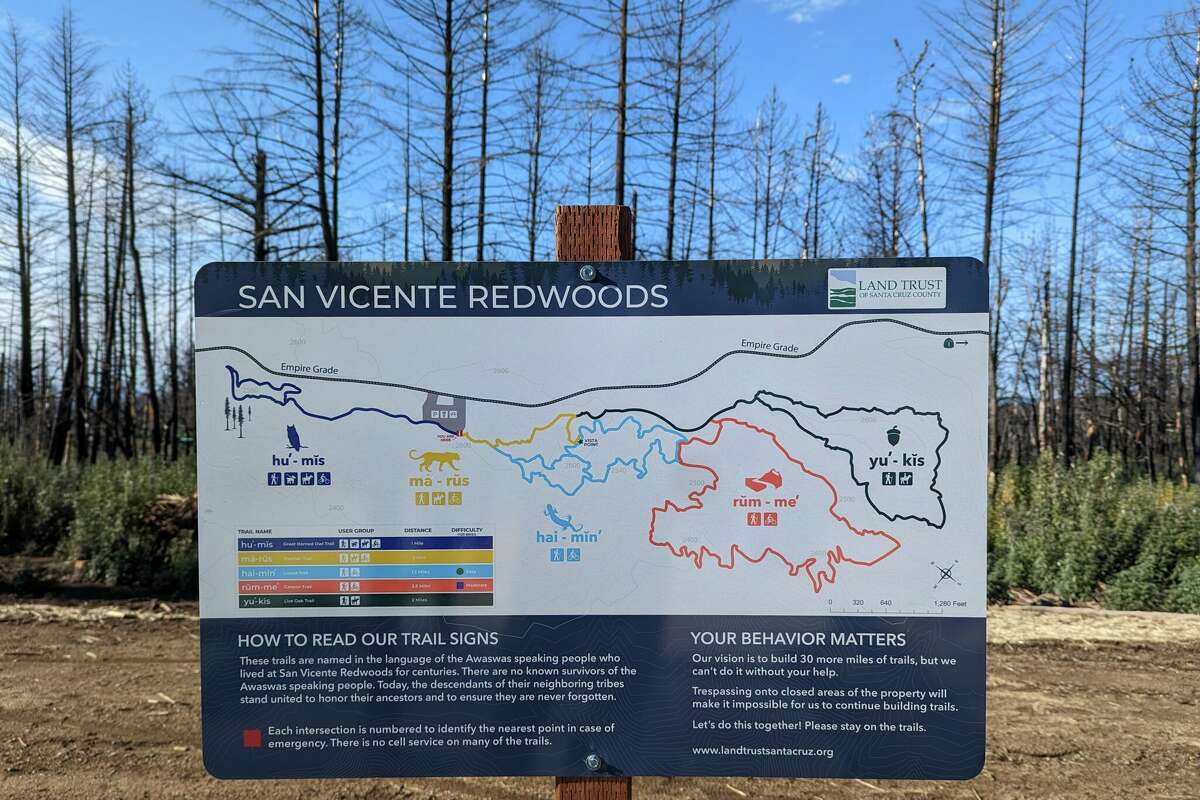 The San Vicente Redwoods in Santa Cruz County is a tribute to wildfire perseverance.