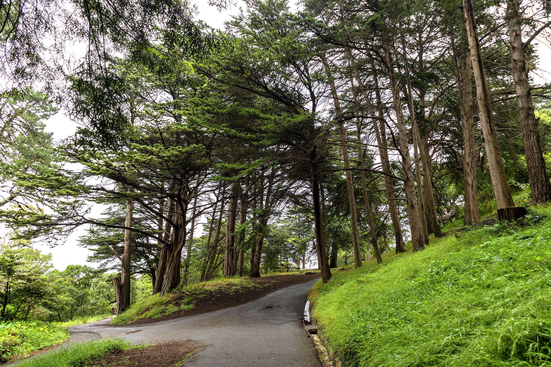 San Francisco park experiences gay cruising renaissance