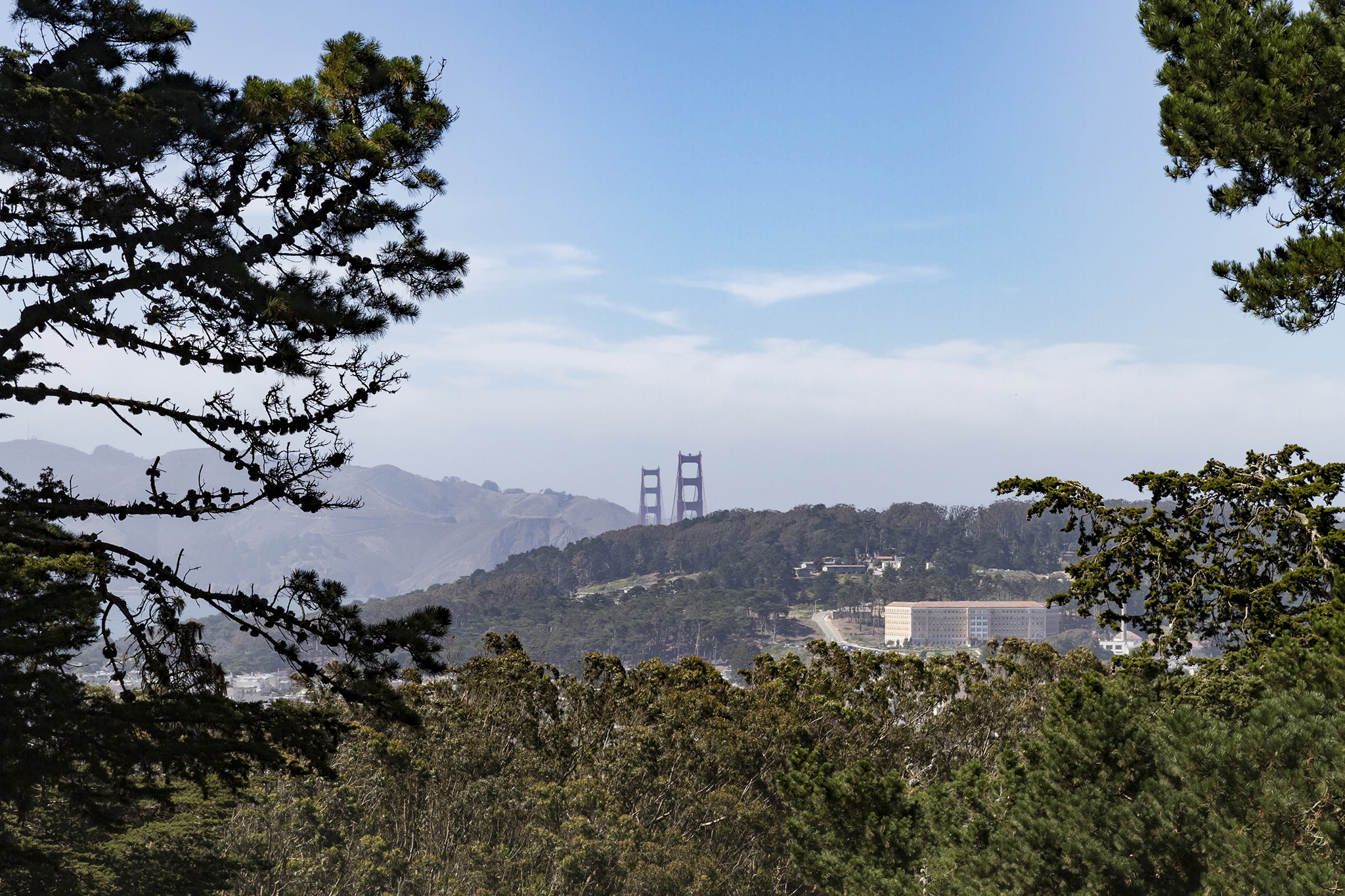 San Francisco park experiences gay cruising renaissance