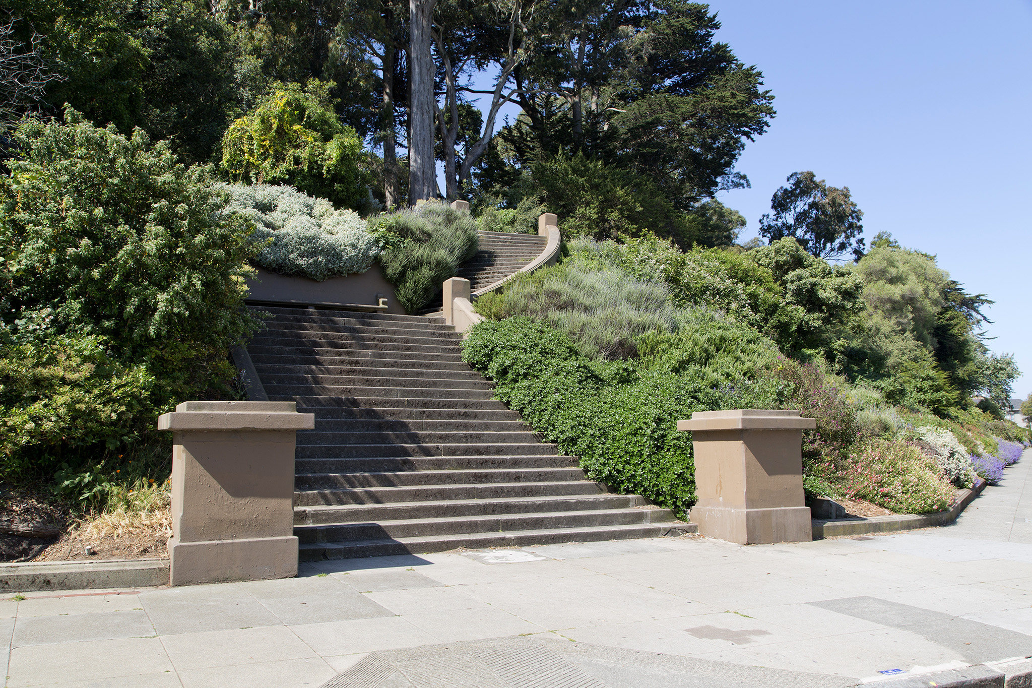 San Francisco park experiences gay cruising renaissance